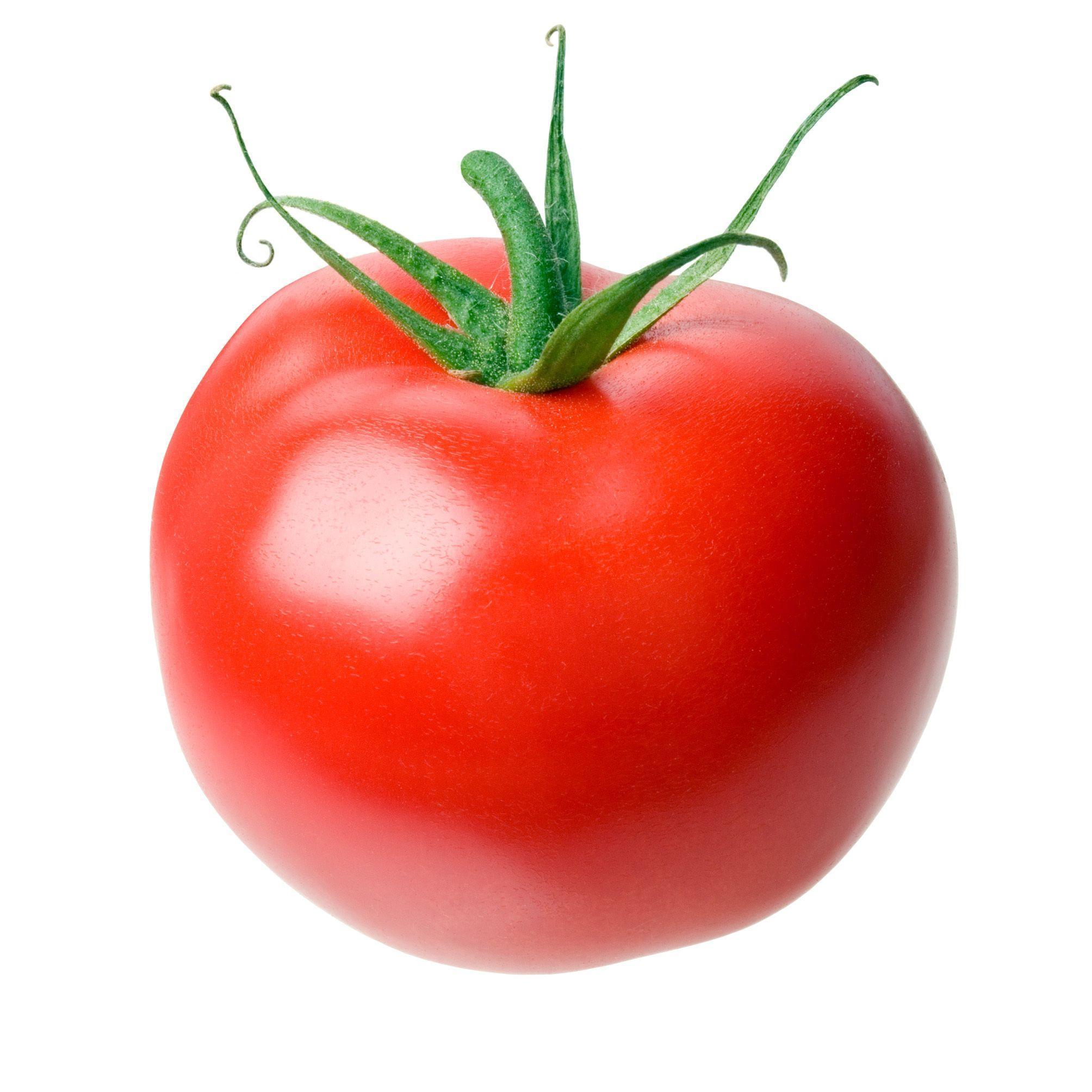 High Quality Tomato Wallpaper. Full HD Picture