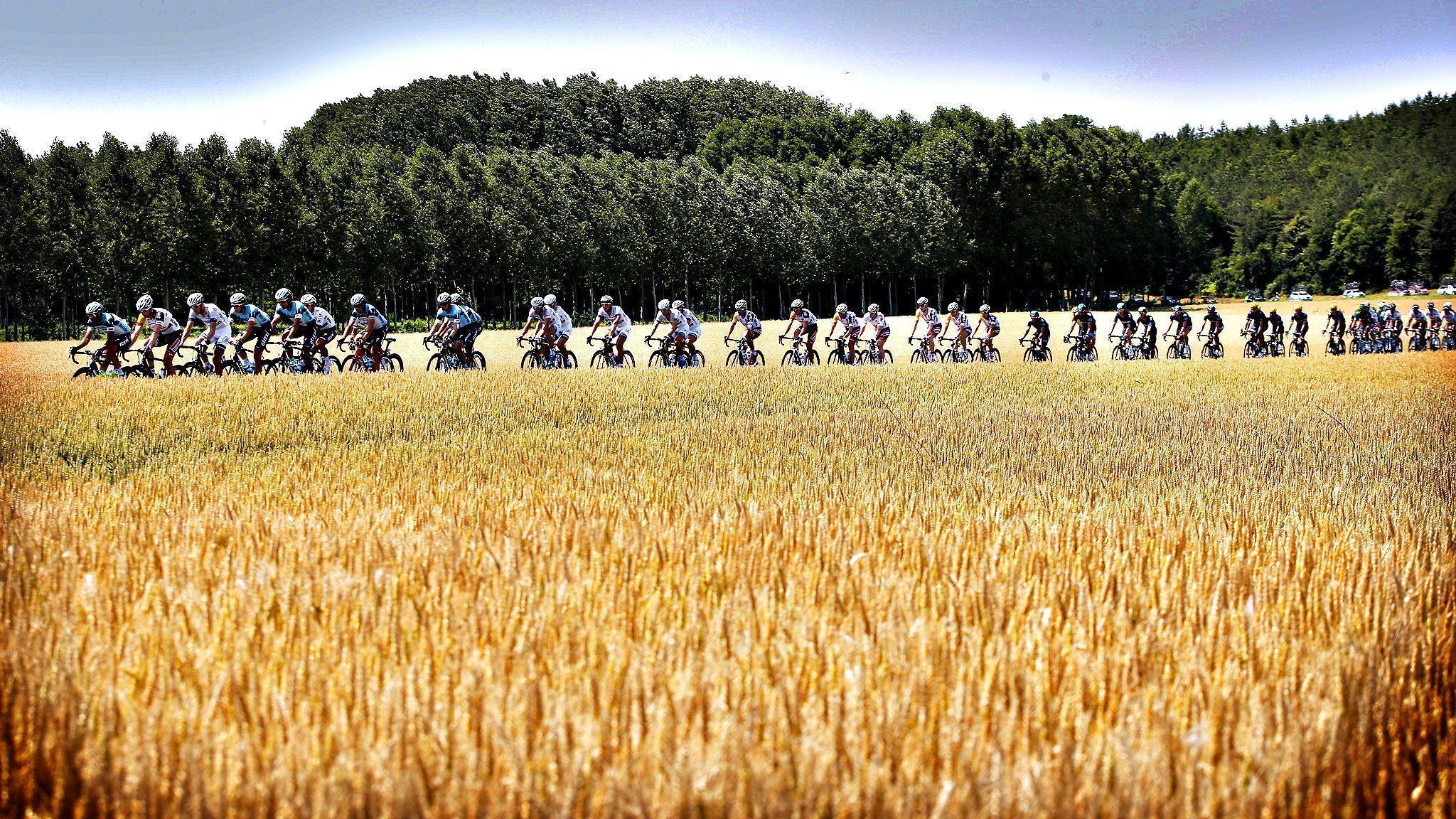 Picture This: The Tour de France