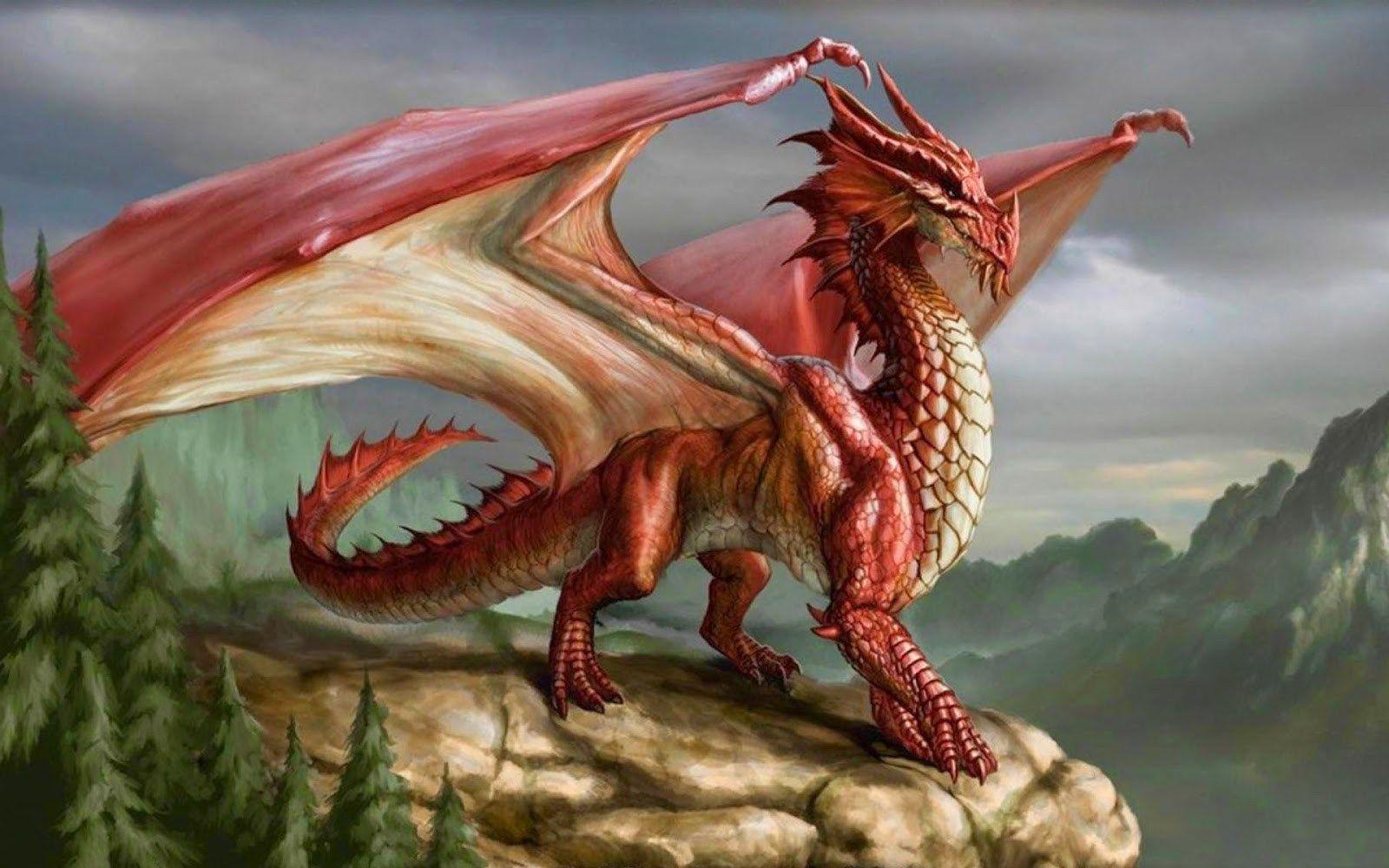 HD Dragon Wallpaper, Image, Background, Desktop