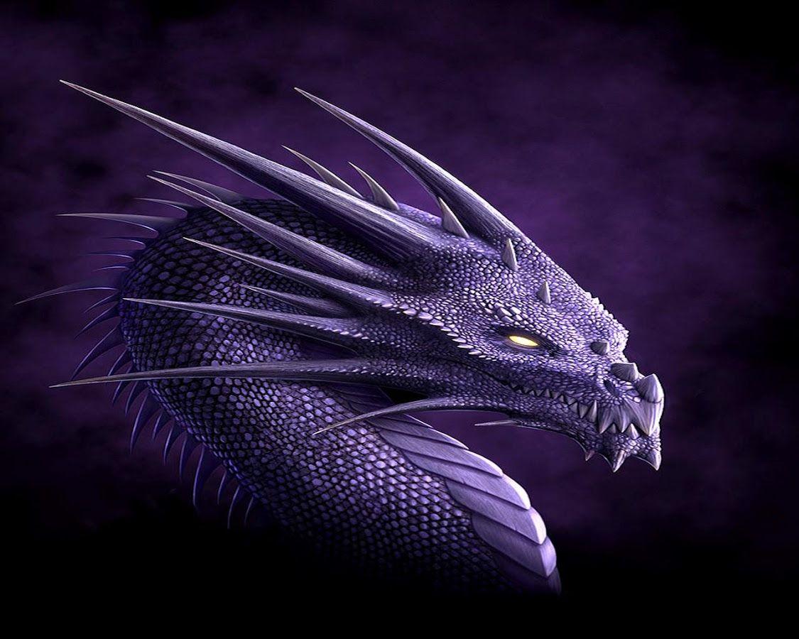 Dragon Wallpaper Apps on Google Play