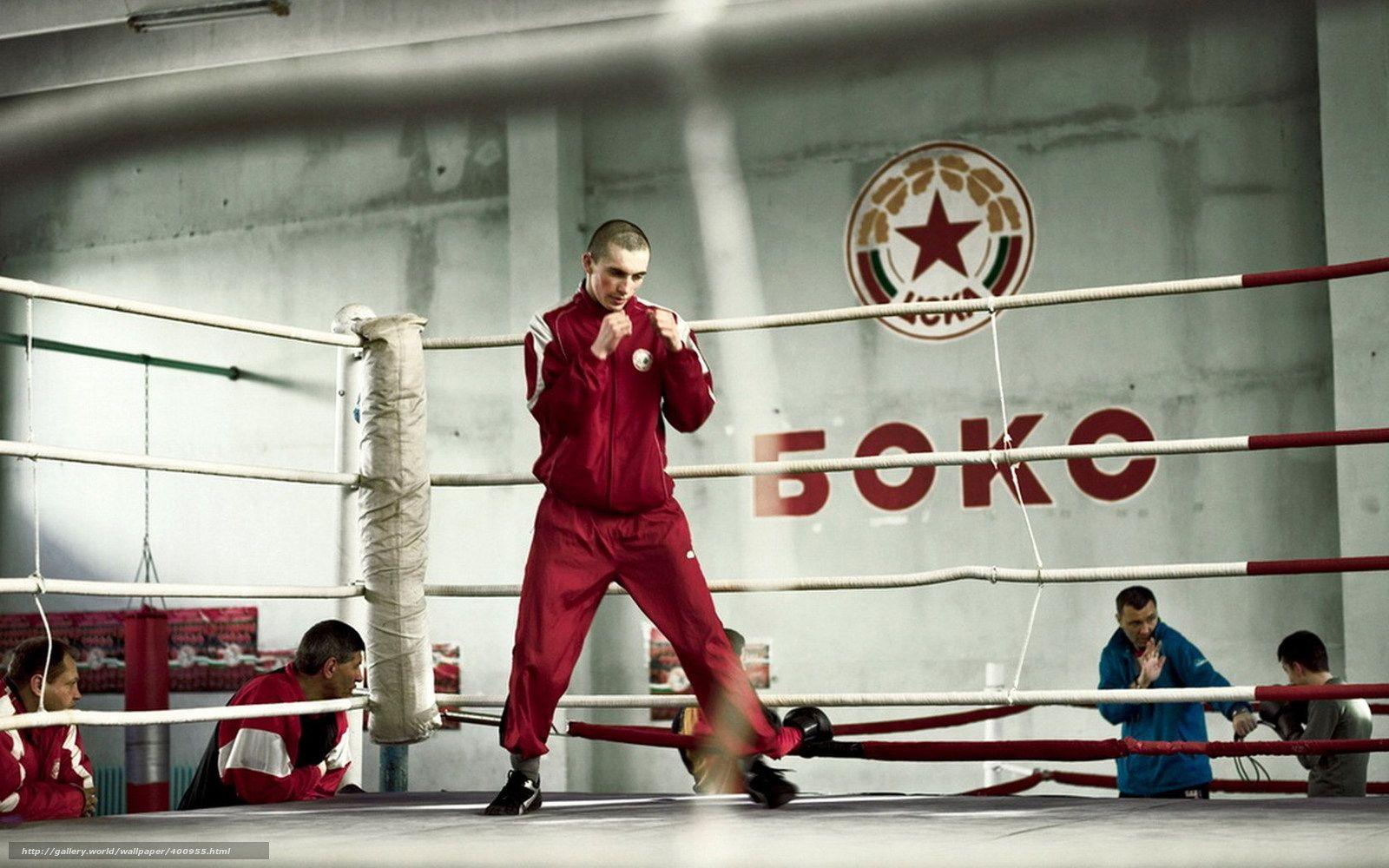 Download wallpaper box, fighter, ring, CSKA free desktop wallpaper
