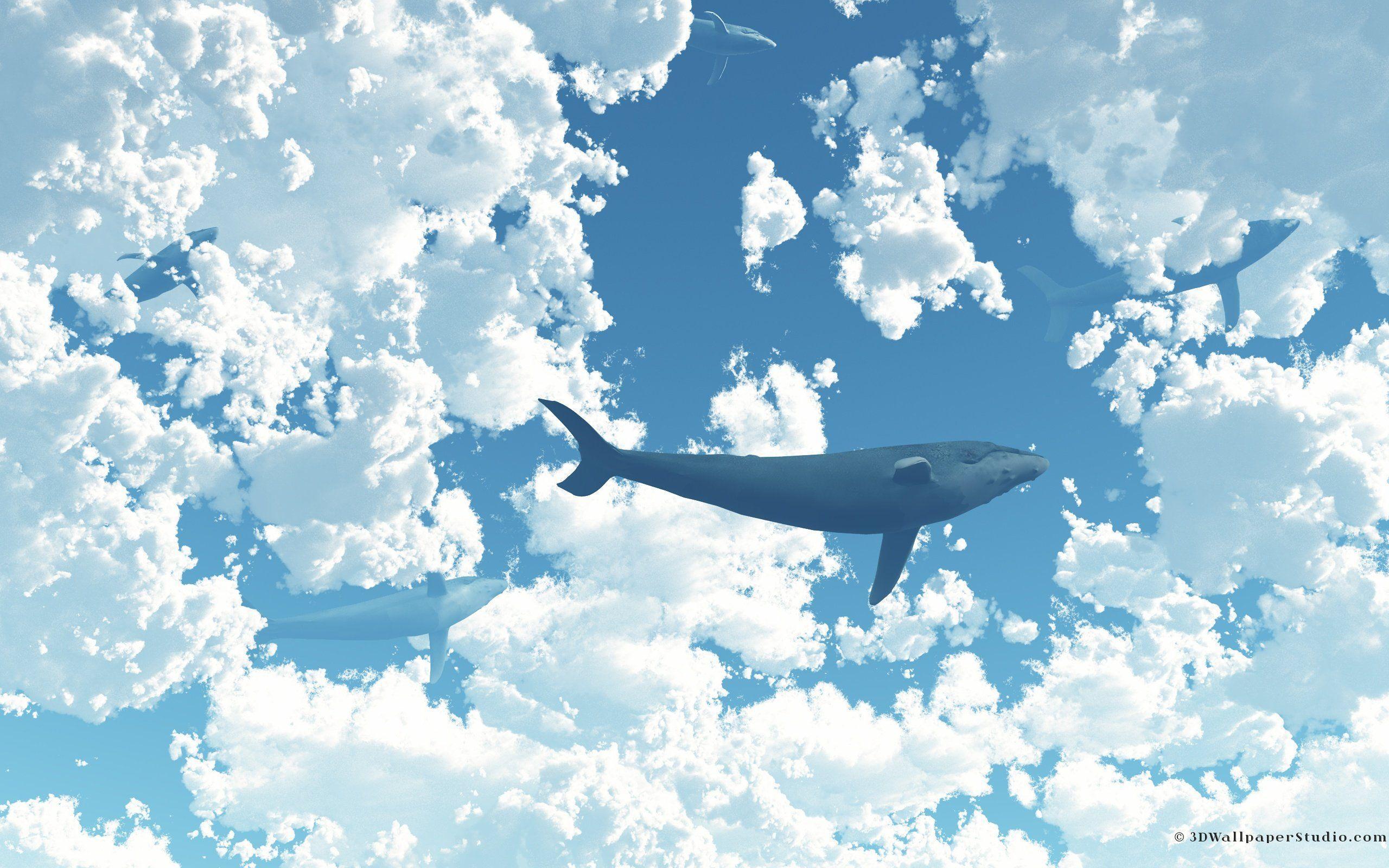 Sky Whales Wallpaper