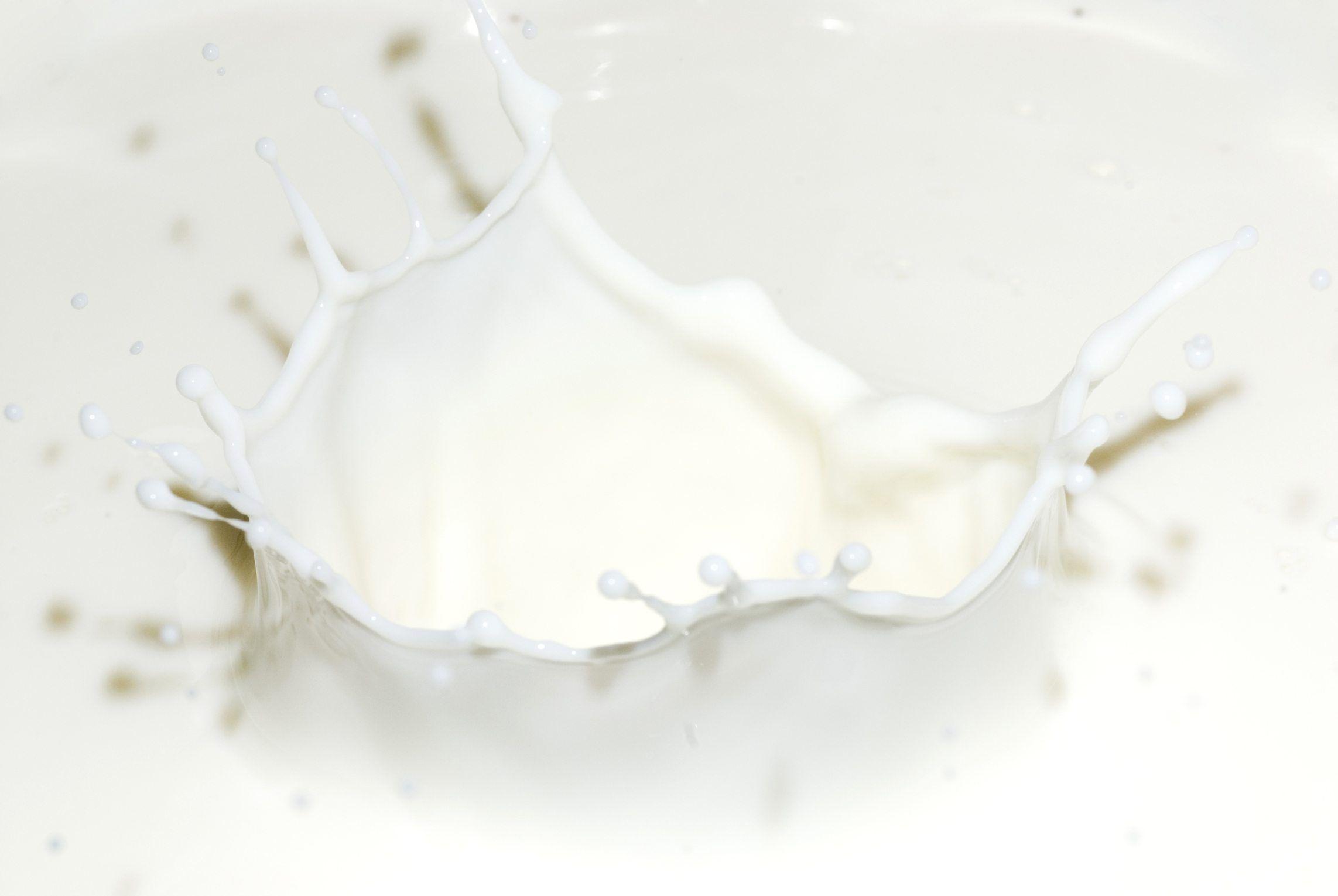 Milk HD Wallpaper
