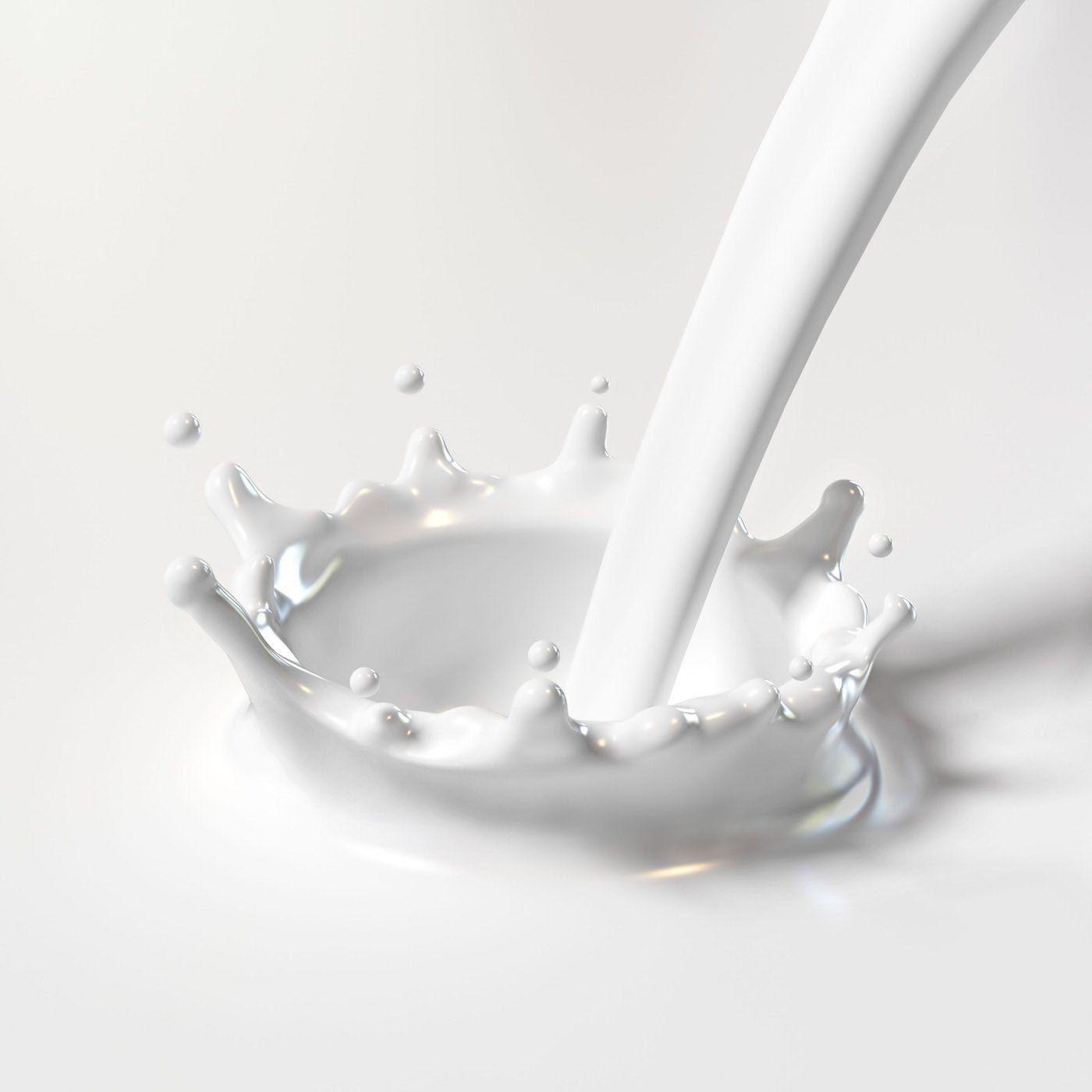 Cup of Milk 1 Free Photo Download | FreeImages