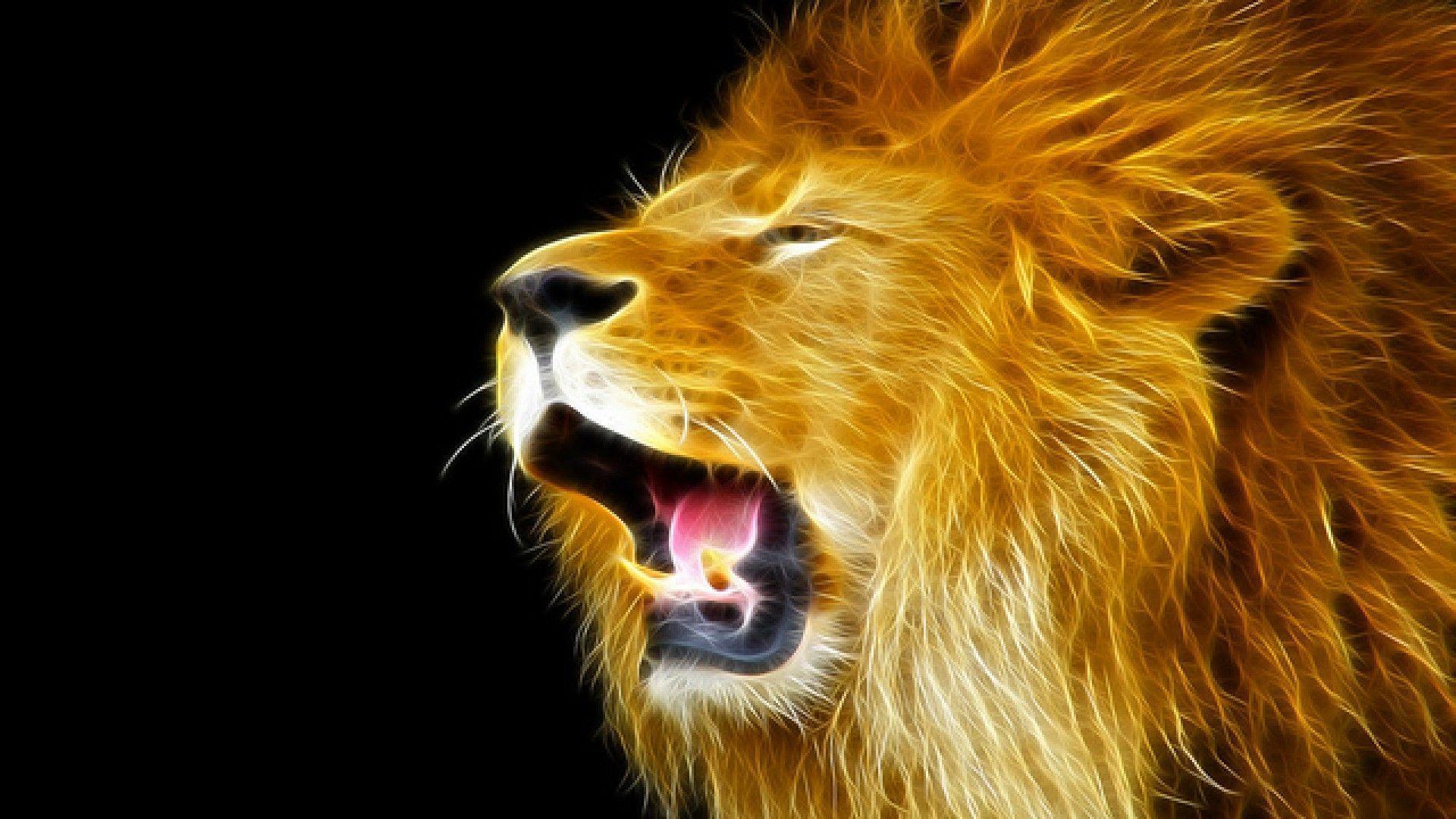Lion HD Wallpapers - Wallpaper Cave