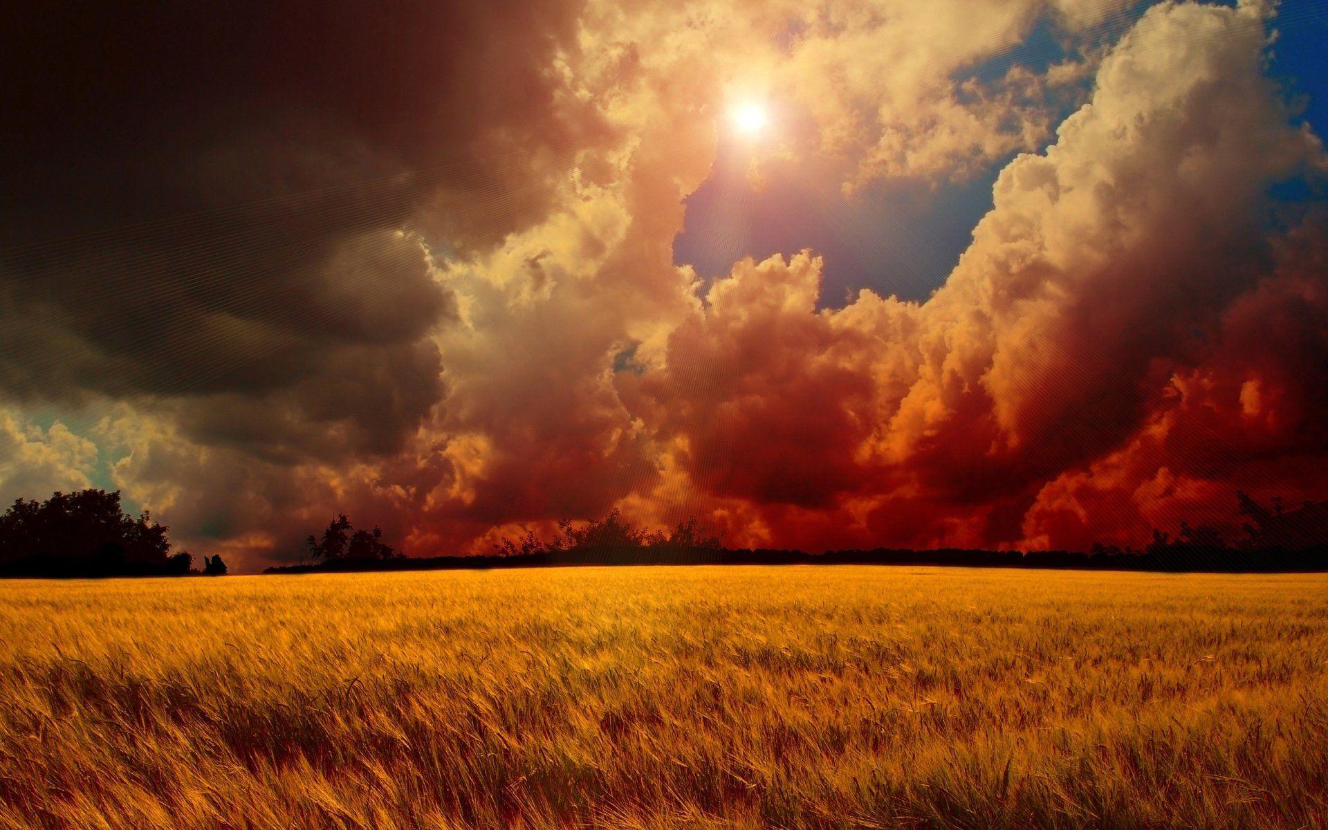 CGI Wallpapers Wallpaper Cave