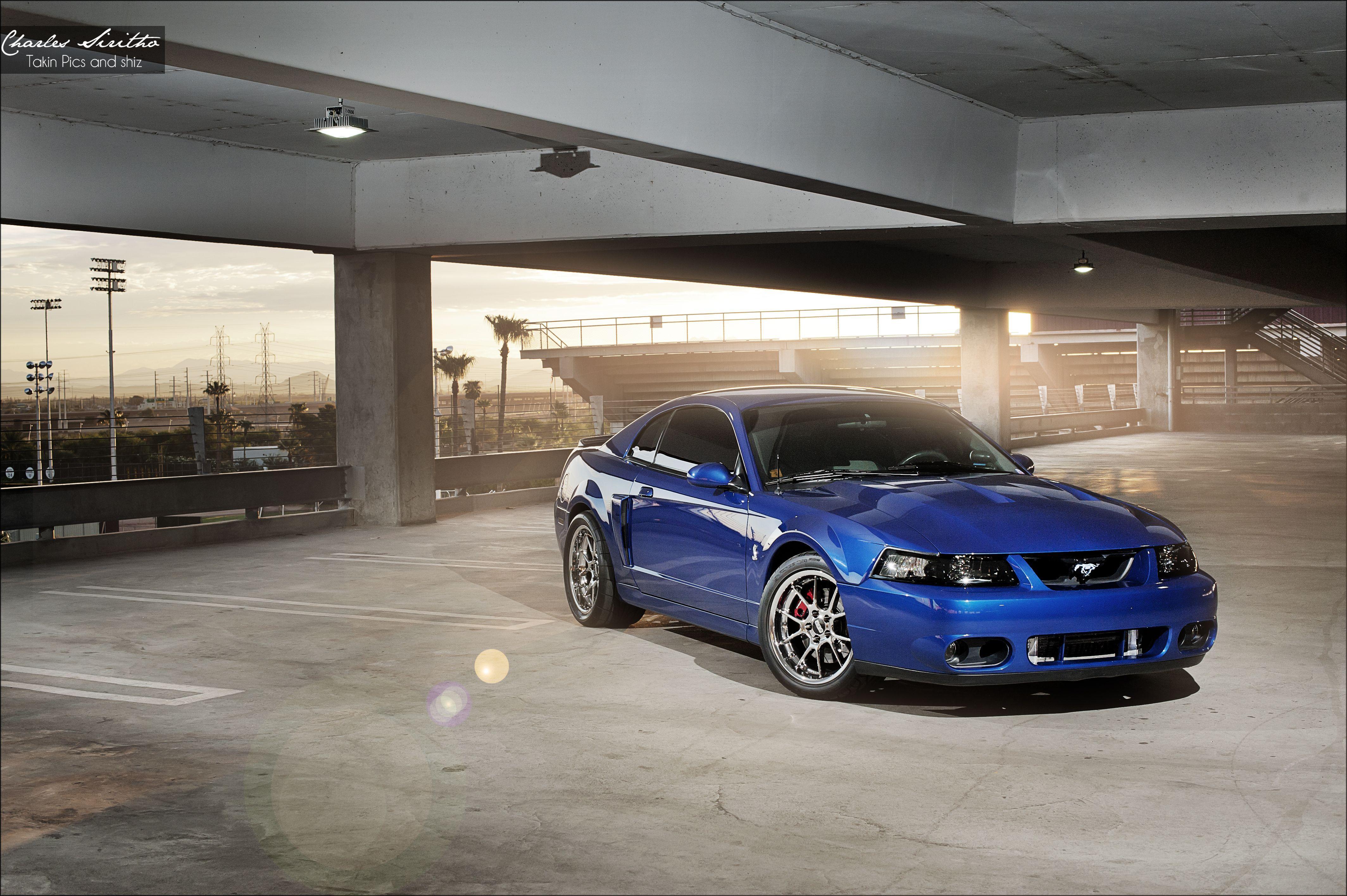 Mustang Cobra Wallpapers - Wallpaper Cave