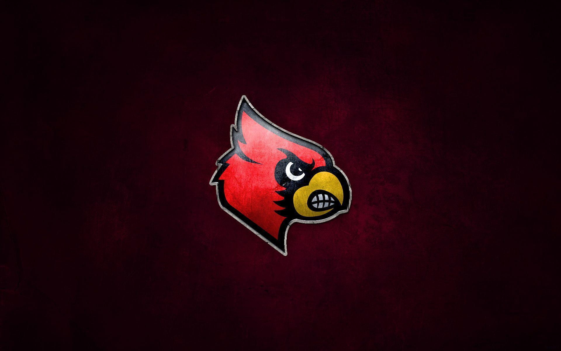 Louisville Cardinals HD wallpaper  Pxfuel