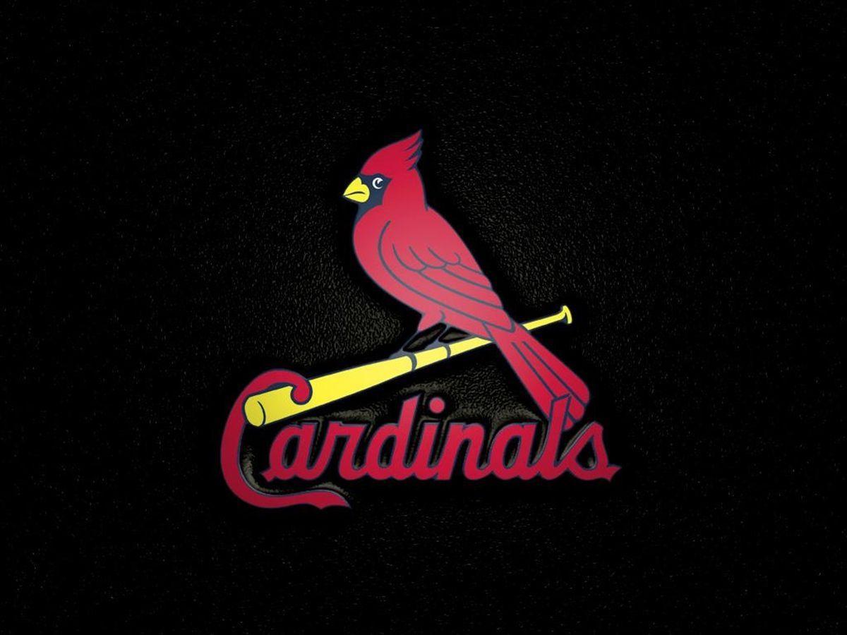 Louisville Cardinals Wallpaper HD 640×960 Louisville Cardinals