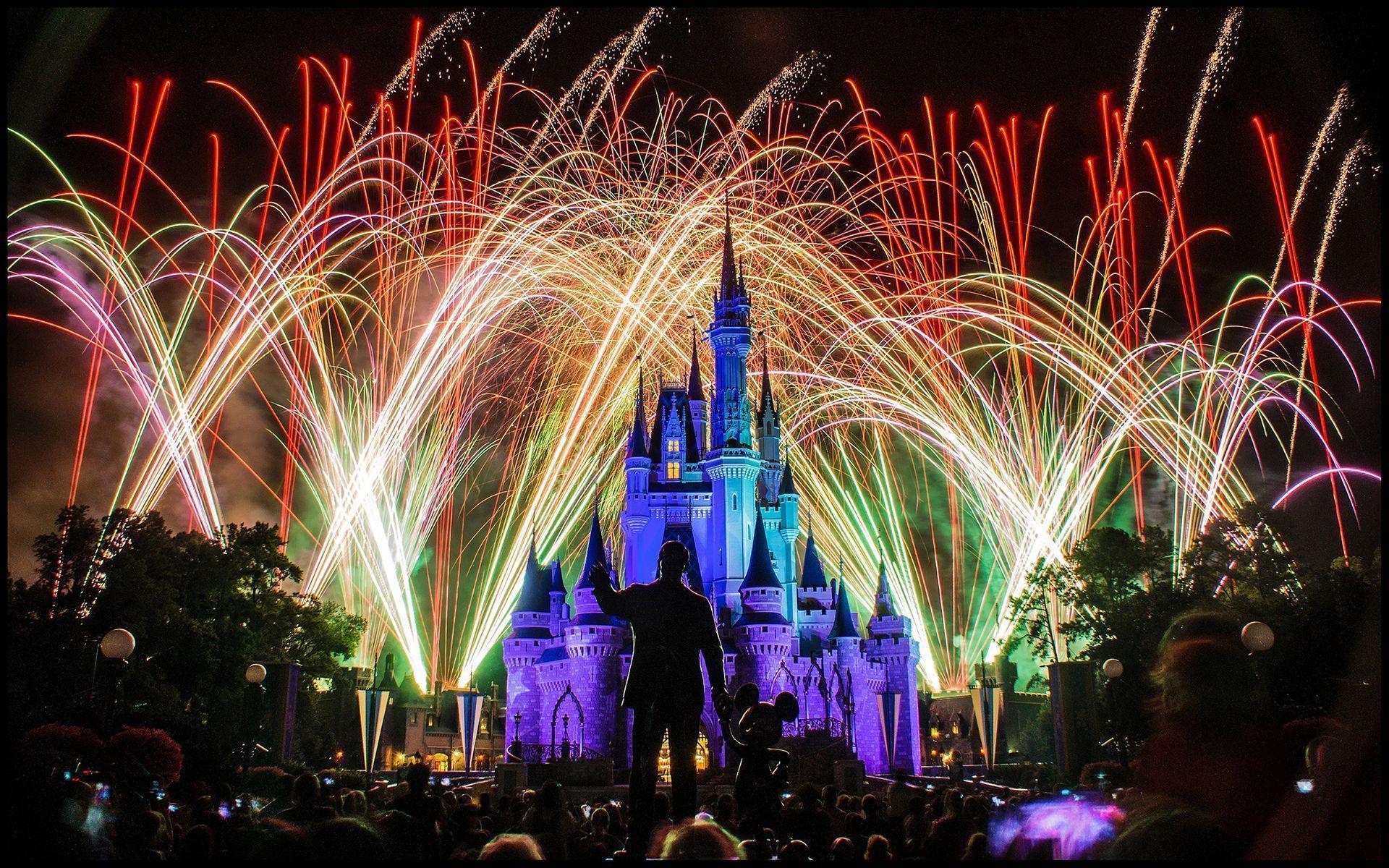 Disneyland Castle Inside