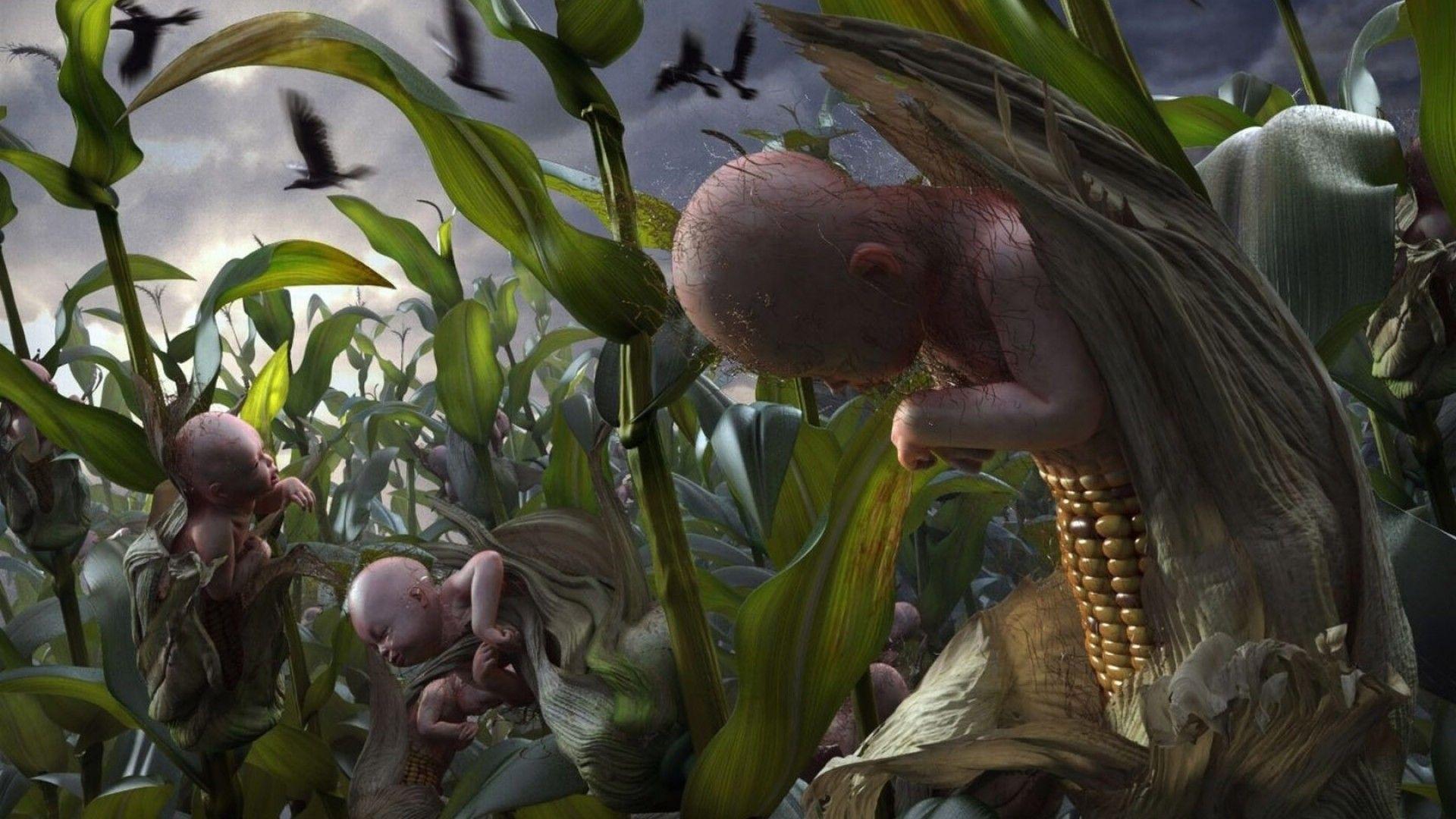 Children Of The Corn Wallpapers Wallpaper Cave