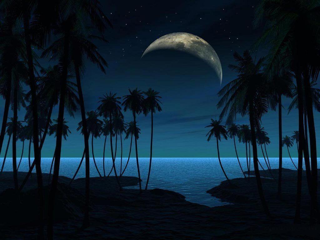 moonlight tropics night view picture and wallpaper. Fantasy World