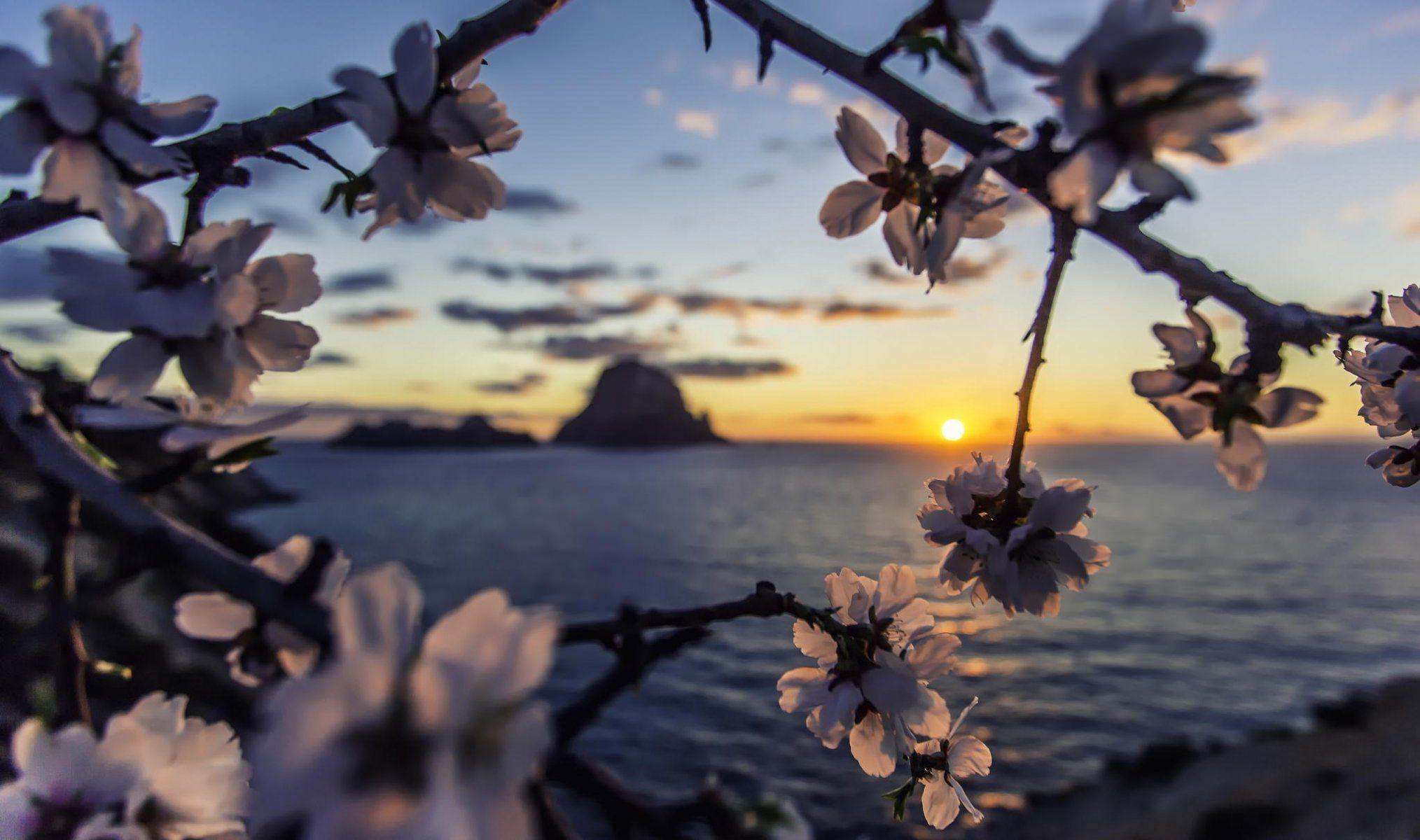 sea dawn sunset almond es vedra ibiza island sea sun HD wallpaper