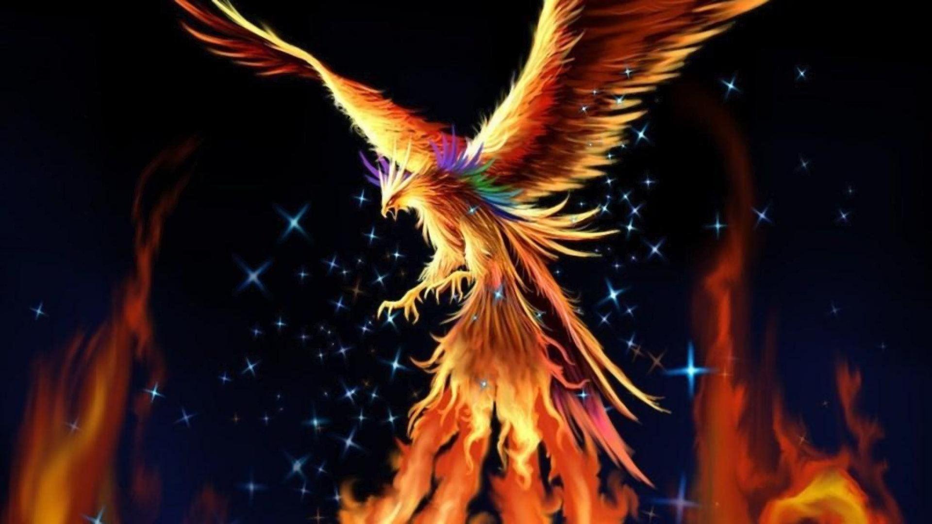 Beautiful Abstract and colorful fiery bird phoenix flying wallpaper  background painting 18869381 Vector Art at Vecteezy