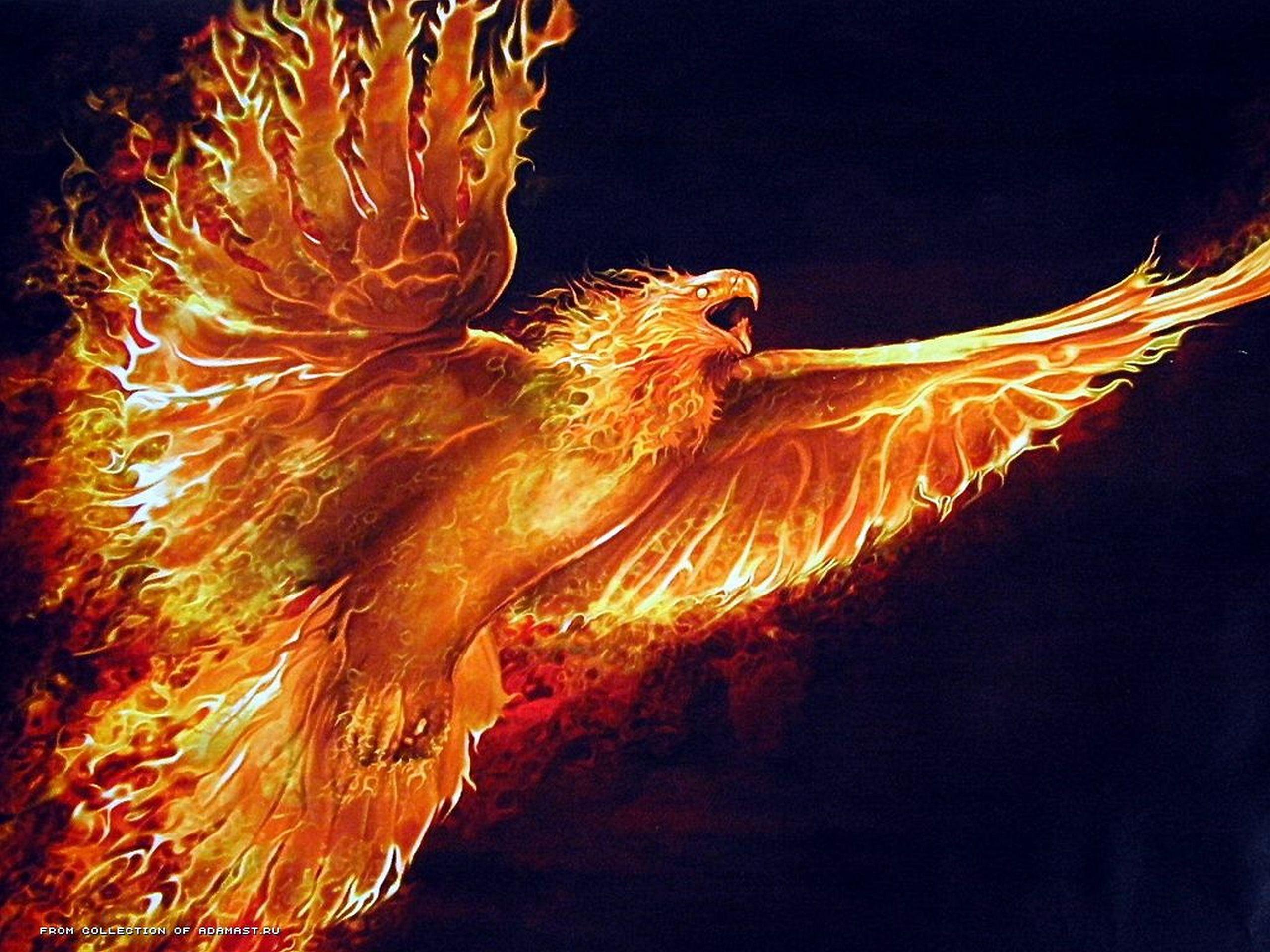 Phoenix HD Wallpaper and Background Image