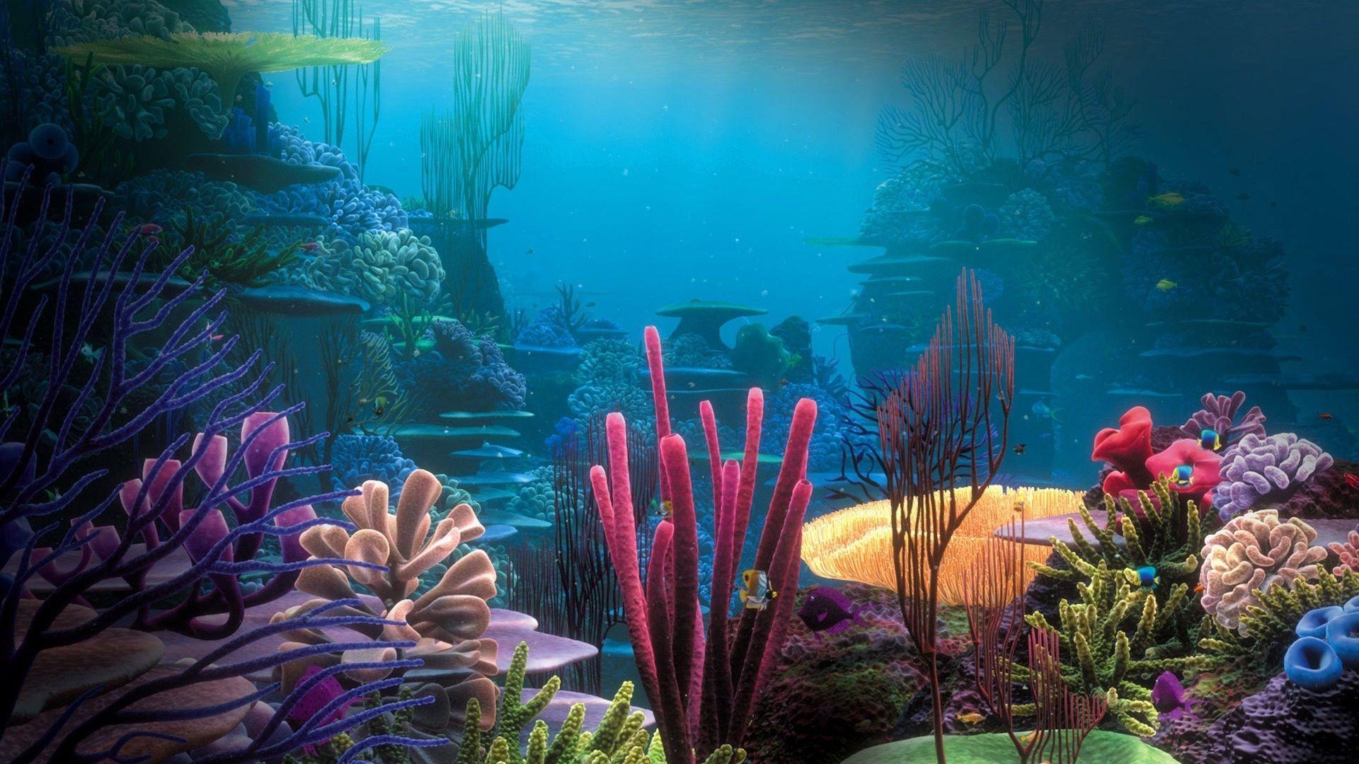 Coral Reef Stones Schooling oF Fish Underwater 4K HD Nature Wallpapers  HD  Wallpapers  ID 106730