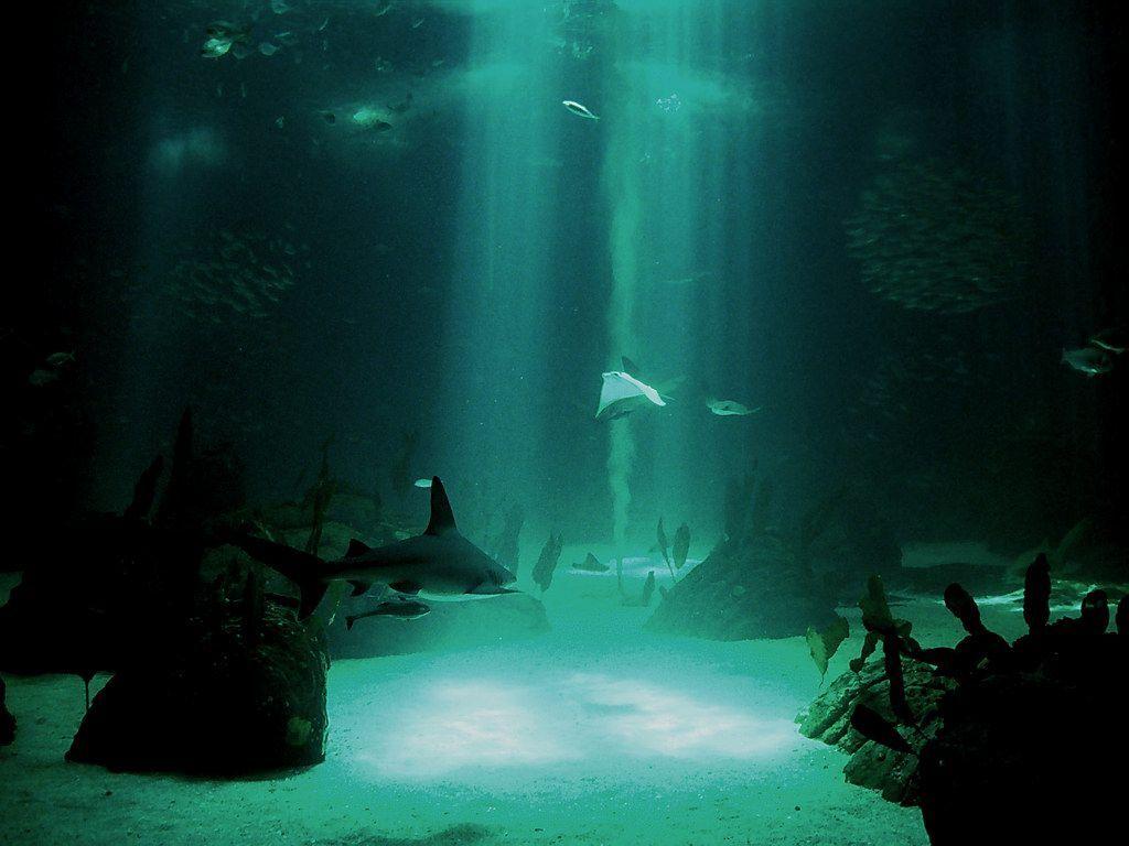 3D underwater desktop background
