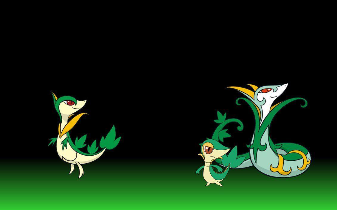 snivy evolution wallpaper