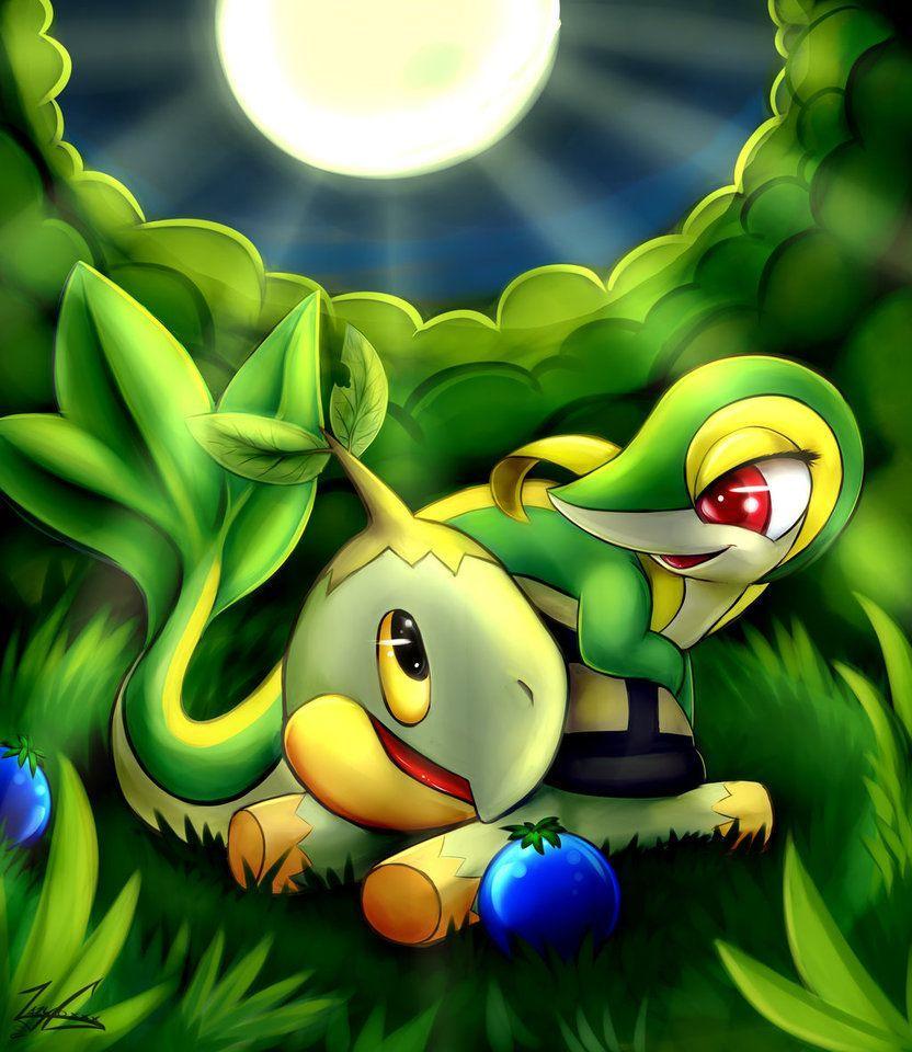 Snivy And Turtwig. Pokemon & Digimon