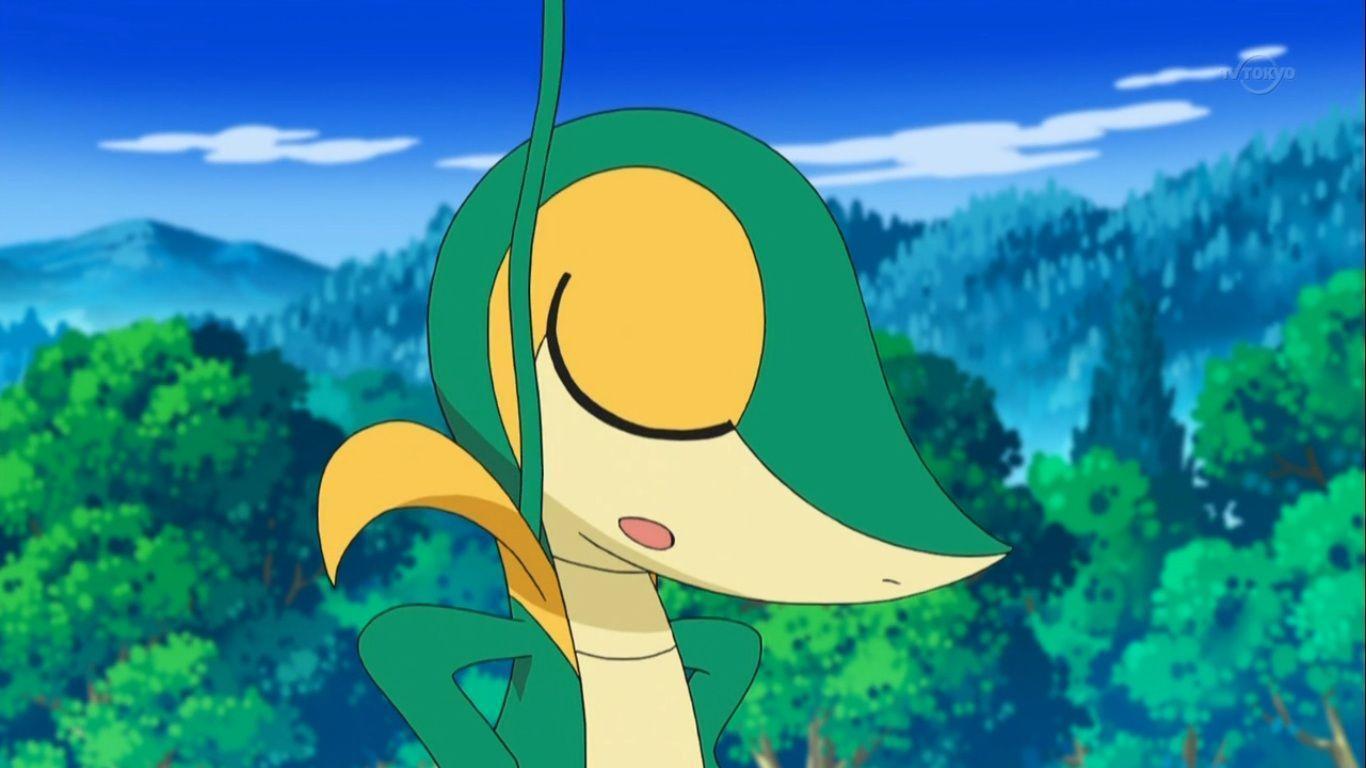 Snivy wallpaper