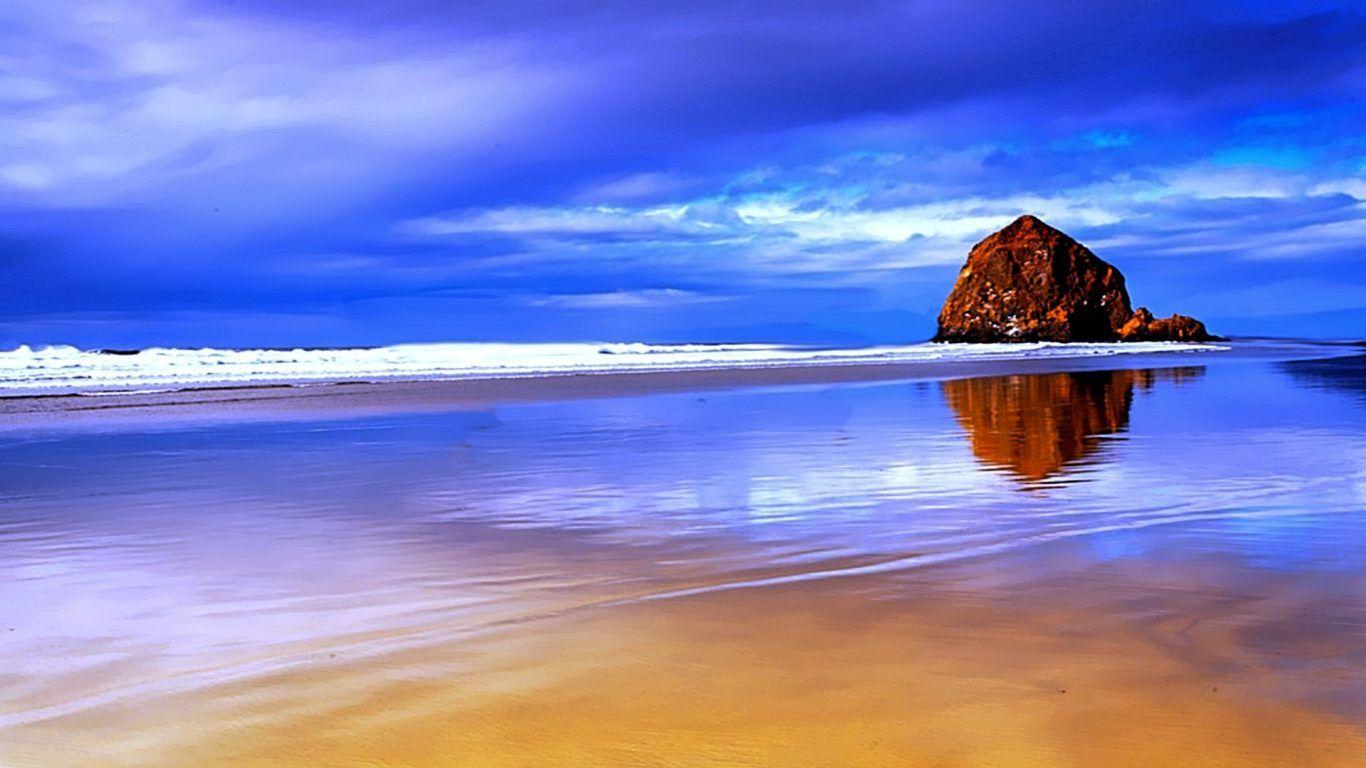 Beaches: California Sunset Surfboard Tree Malibu Beach Nature Usa