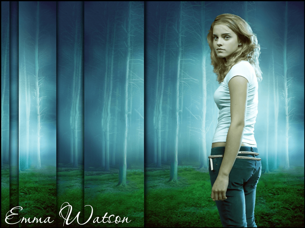 Hermione Granger Harry Potter Wallpapers Wallpaper Cave 8604