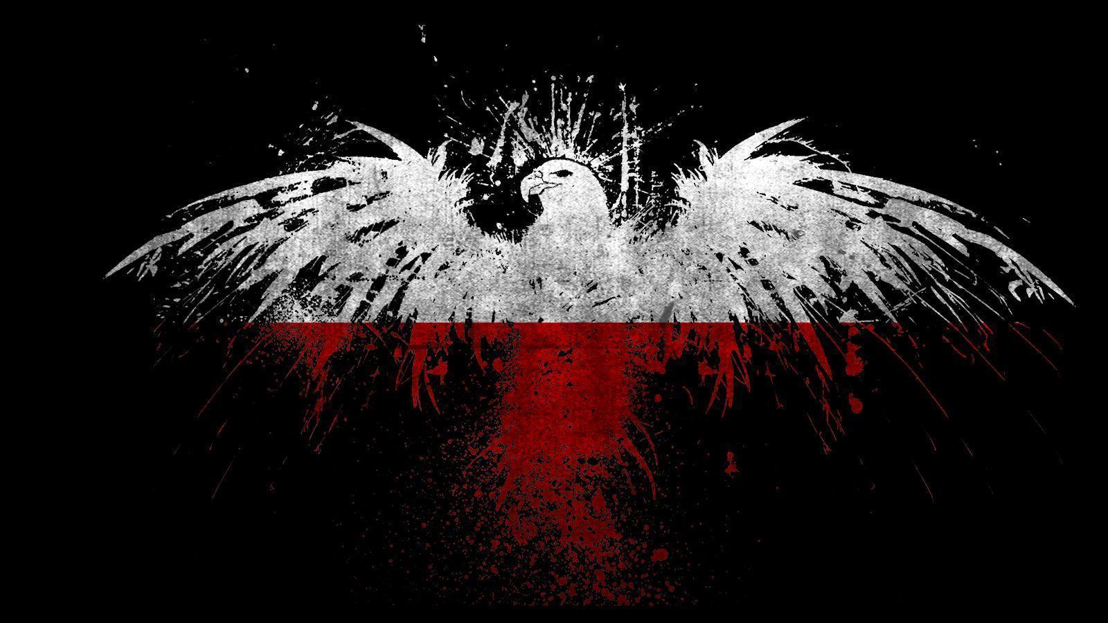 Polish Eagle Wallpaper