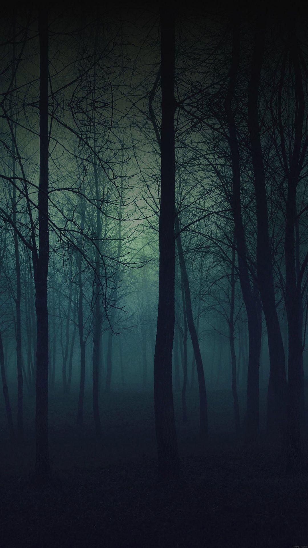 Eerie Forest Night iPhone 6 Plus HD Wallpaper / iPod Wallpaper HD