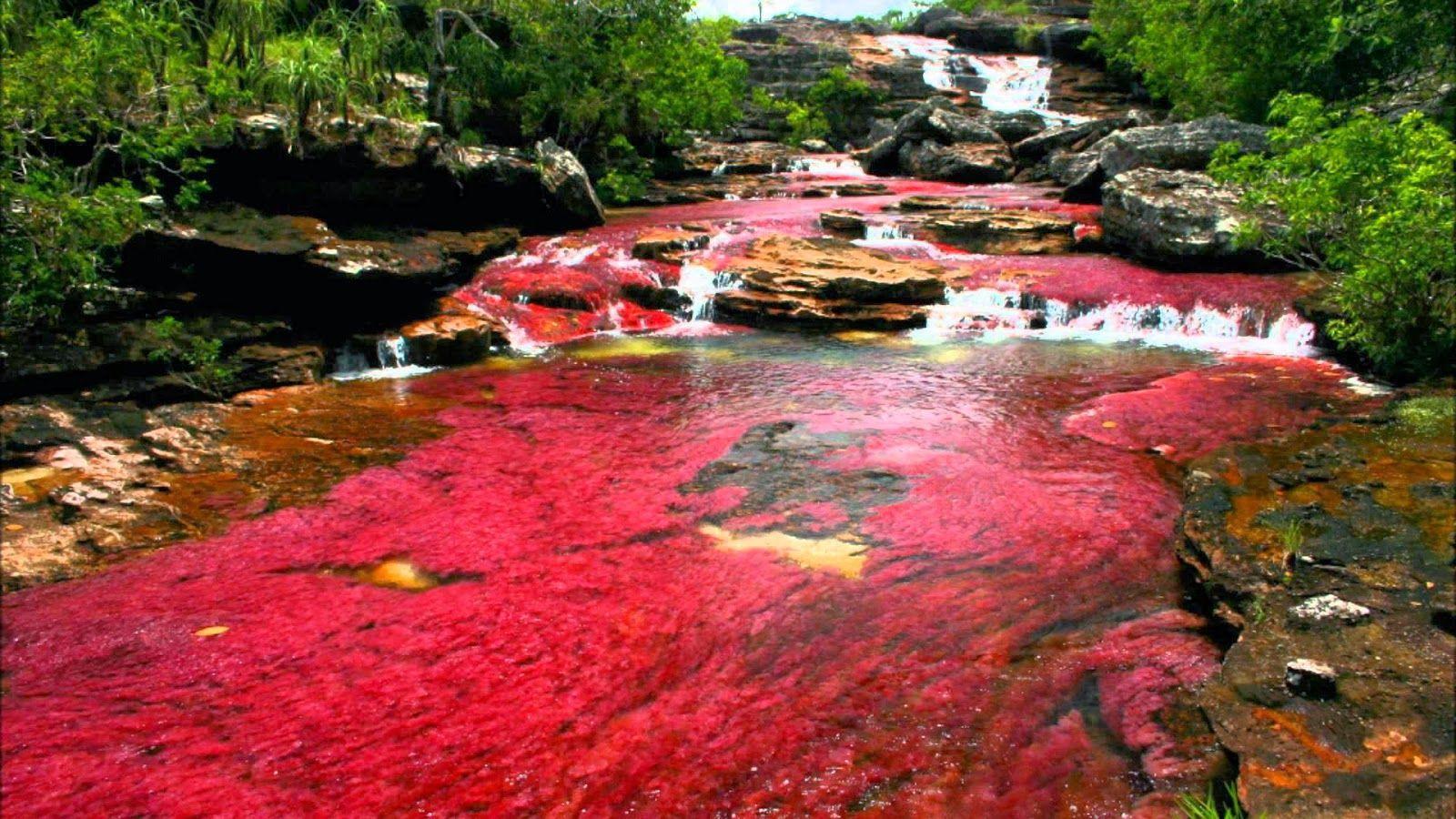 Liquid Rainbow River Of Columbia HD Wallpapers - Wallpaper Cave