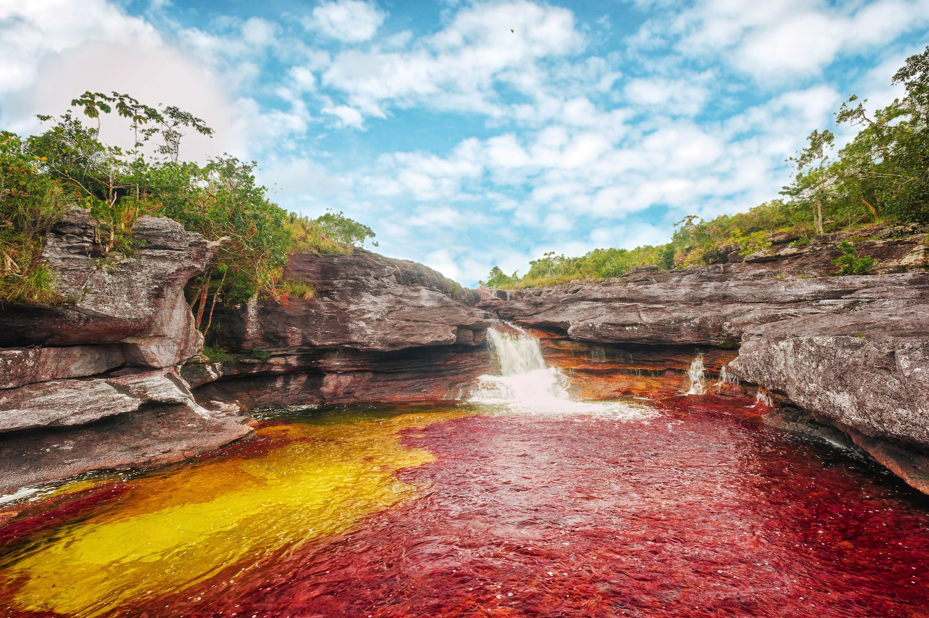 Visiting Caño Cristales, the Rainbow River