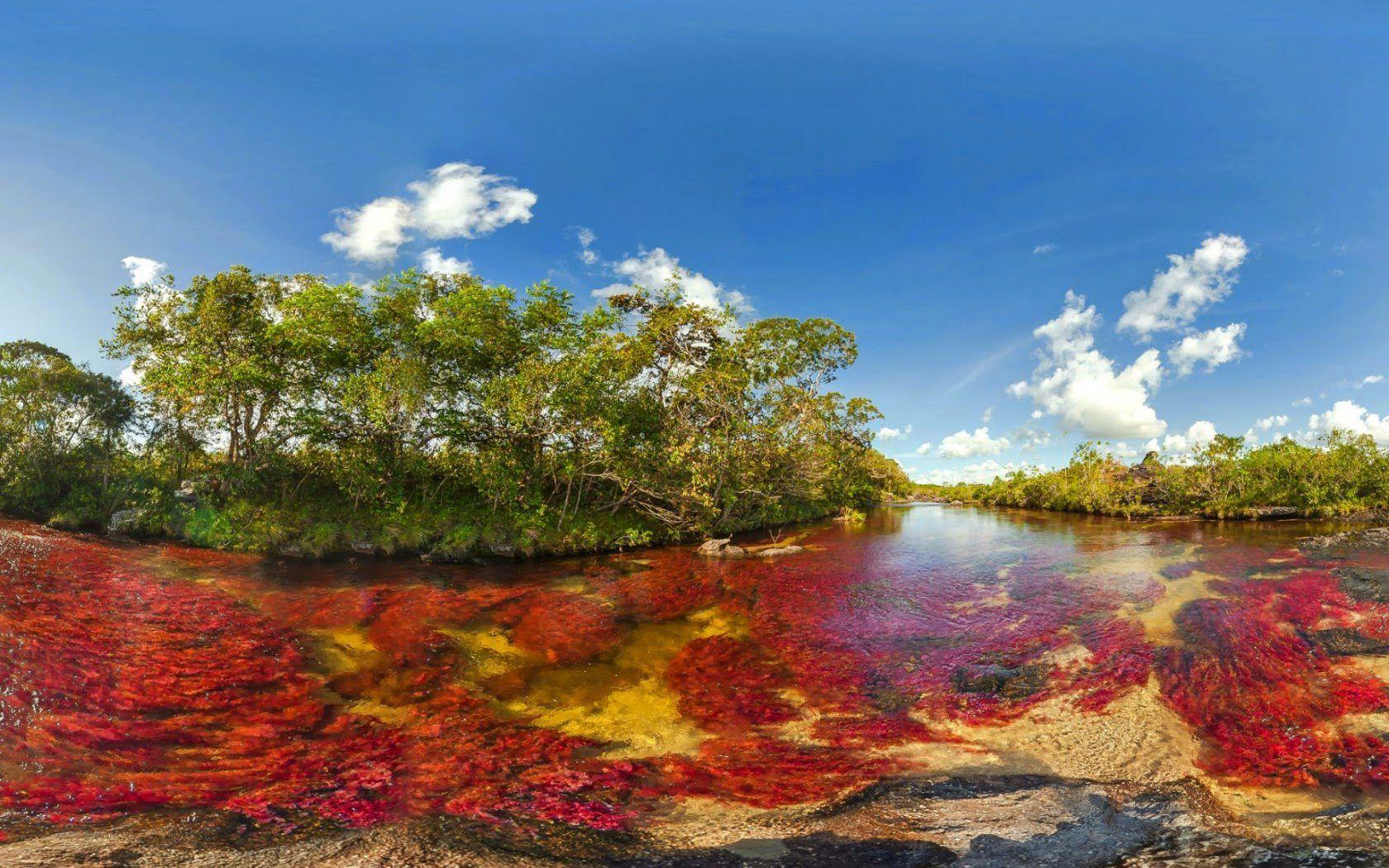 River Cano Cristales Unique In The World Are Latin American