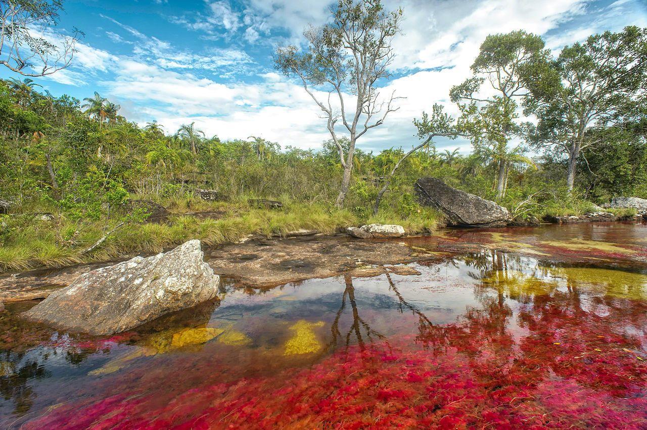 Once A Year, This Crystal Clear River Turns Into A Liquid Rainbow