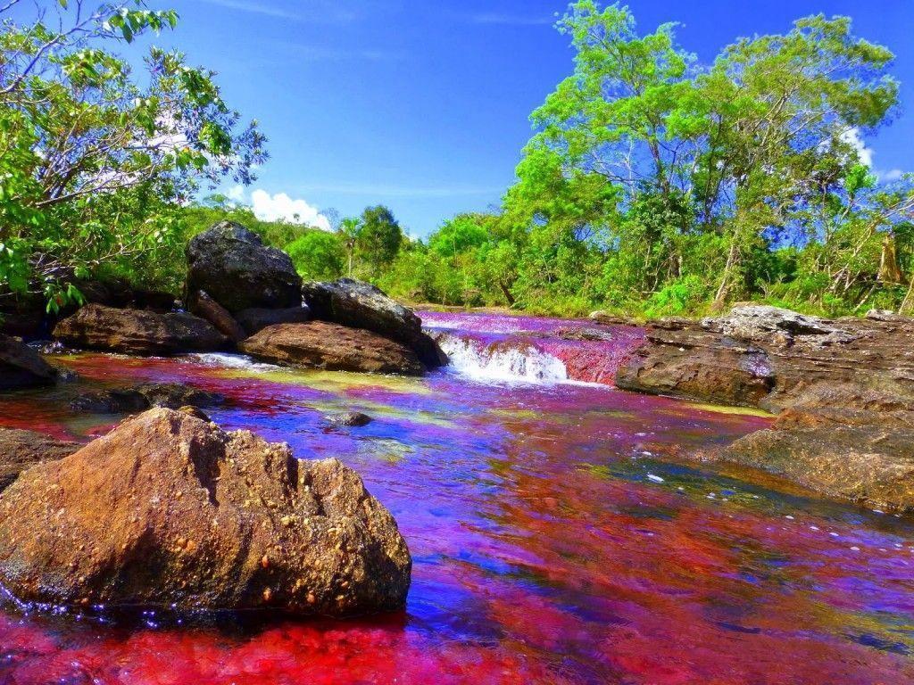Colombia's 'Liquid Rainbow'. Liquid rainbow and Colombia