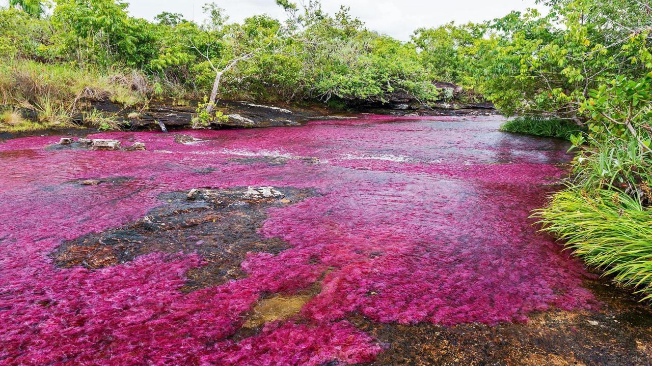 Rainbow River