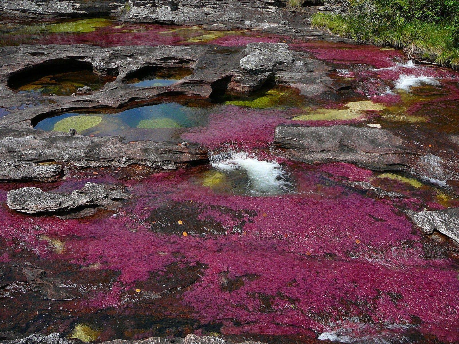 Not all who wander are lost: 1000 PTSBYDÑO CRISTALES