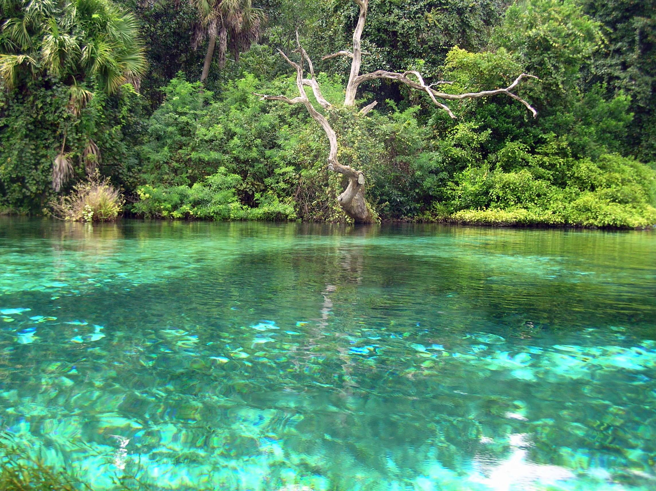 Liquid Rainbow River Of Columbia HD Wallpapers Wallpaper Cave