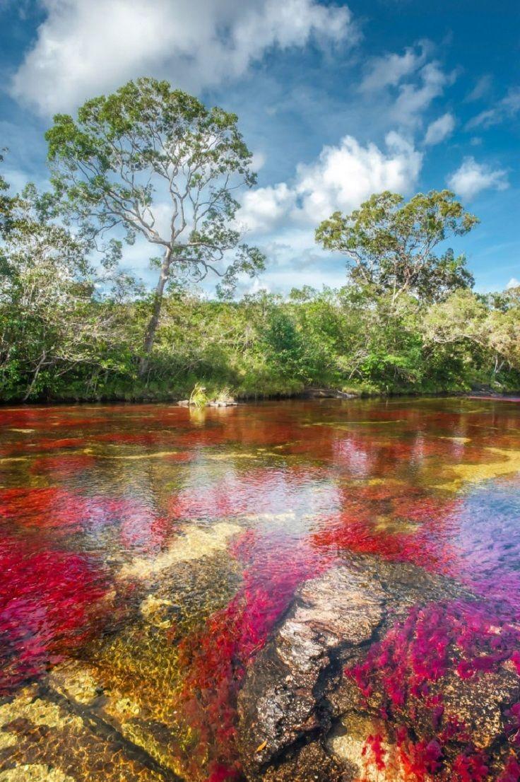 best image about CAÑOS CRISTALES