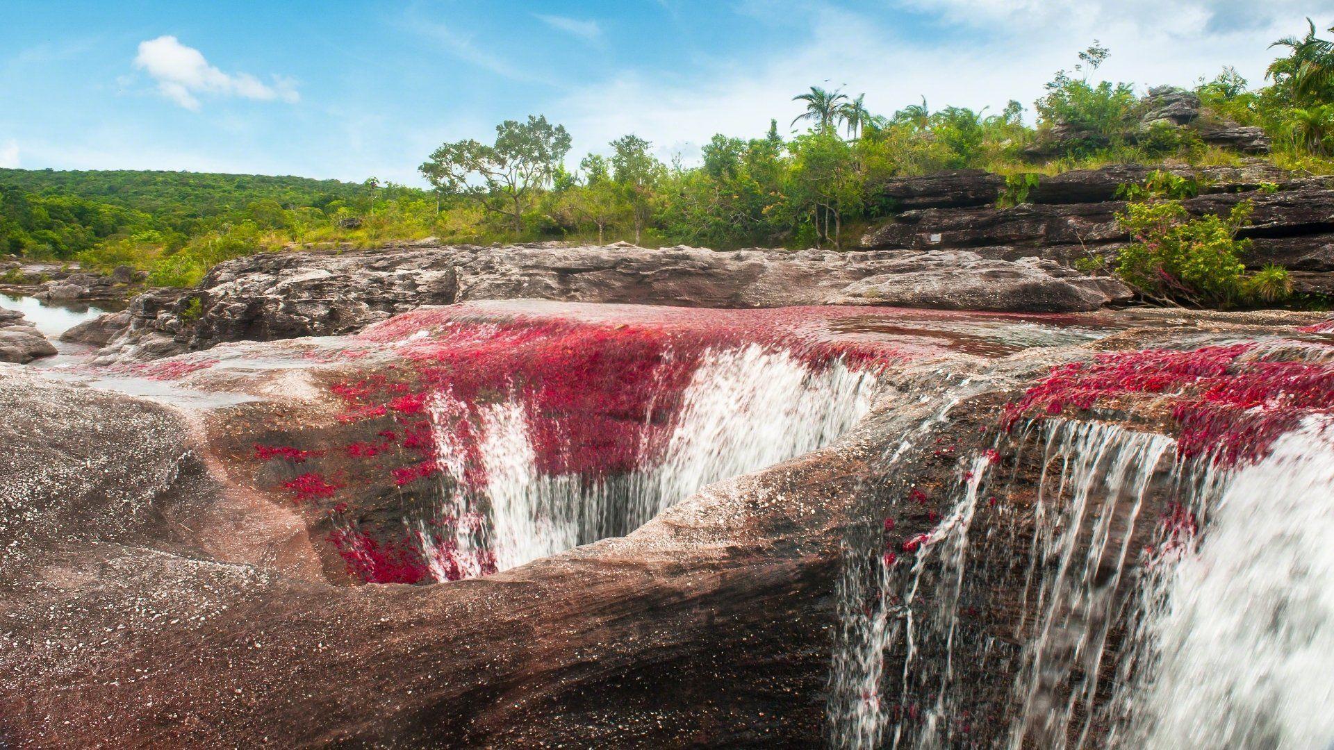 Caño Cristales HD Wallpaper