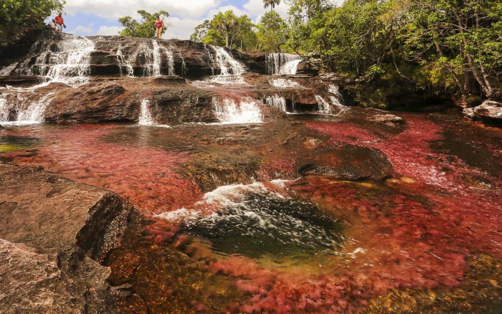 Natural Phenomena