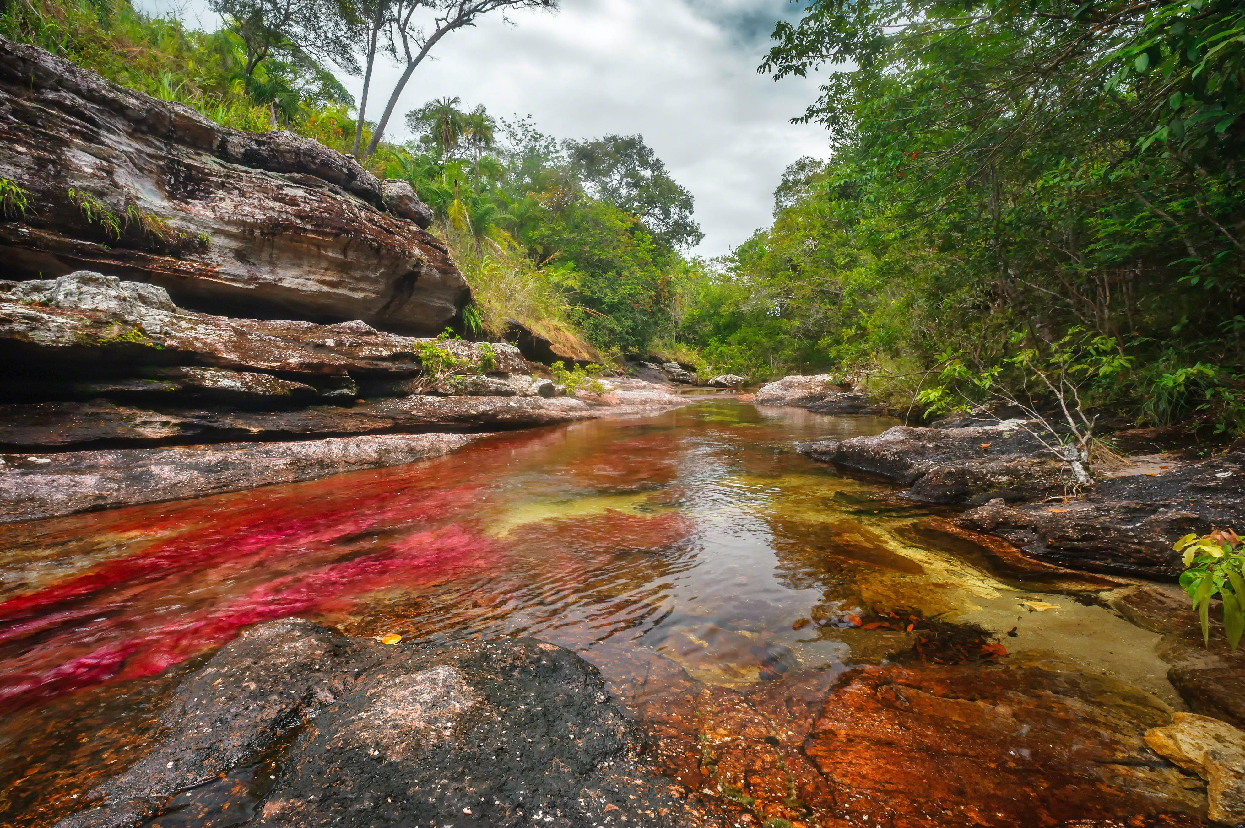 Liquid Rainbow River Of Columbia HD Wallpapers - Wallpaper Cave