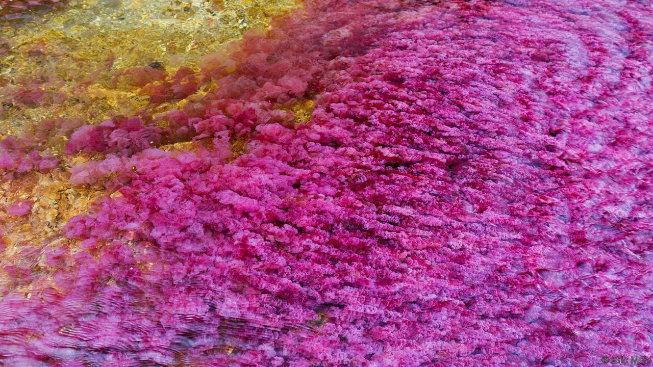 Rainbow River