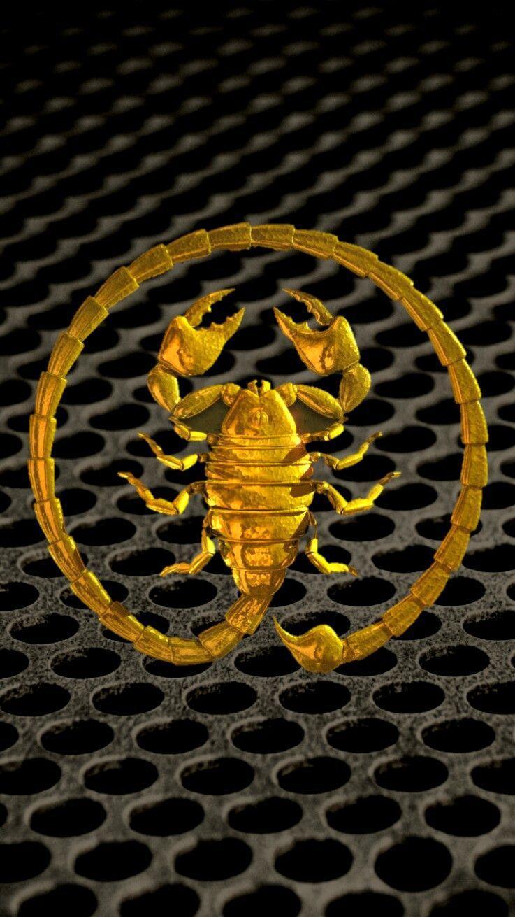 Large circle scorpion on grill iPhone wallpaper. iPhone Black