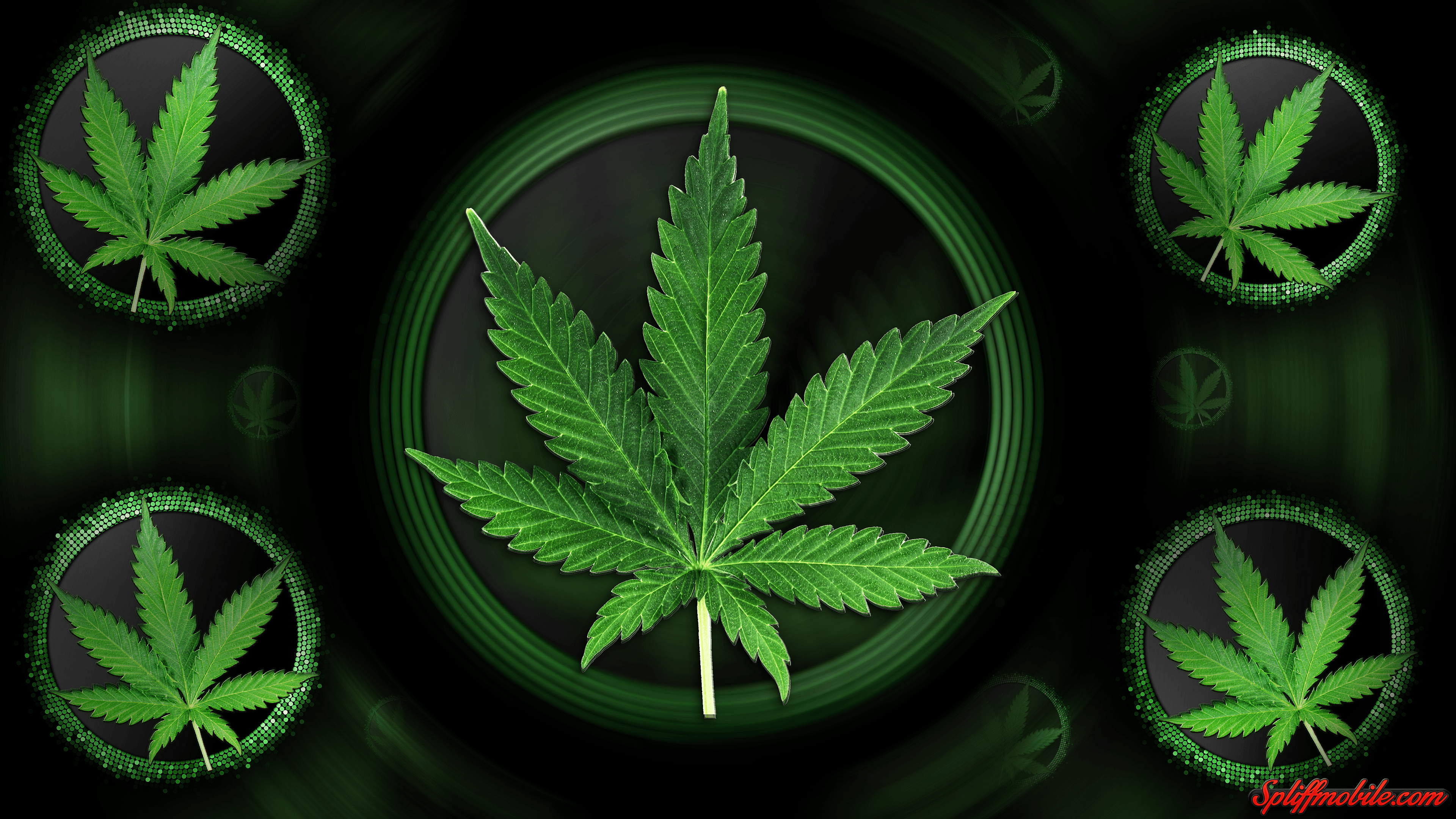 420+ Computer HD Wallpapers and Backgrounds