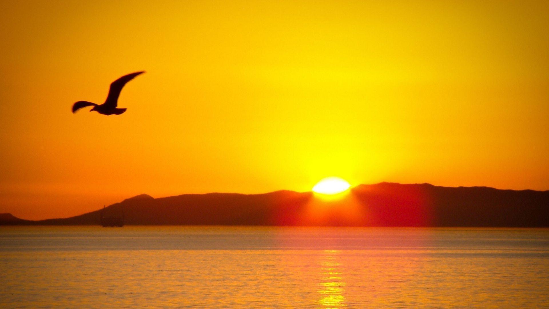 Sunshine HD Wallpapers Wallpaper Cave
