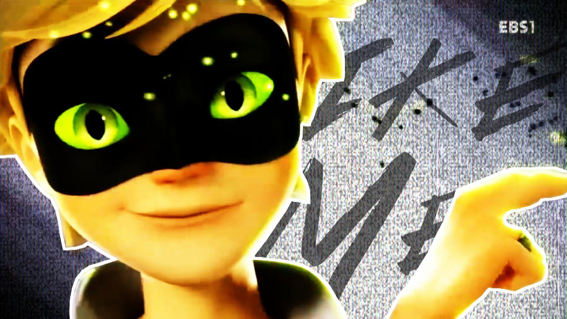 Chat Noir Adrien.. How Many People Can Do It Like Me?. Cat Noir