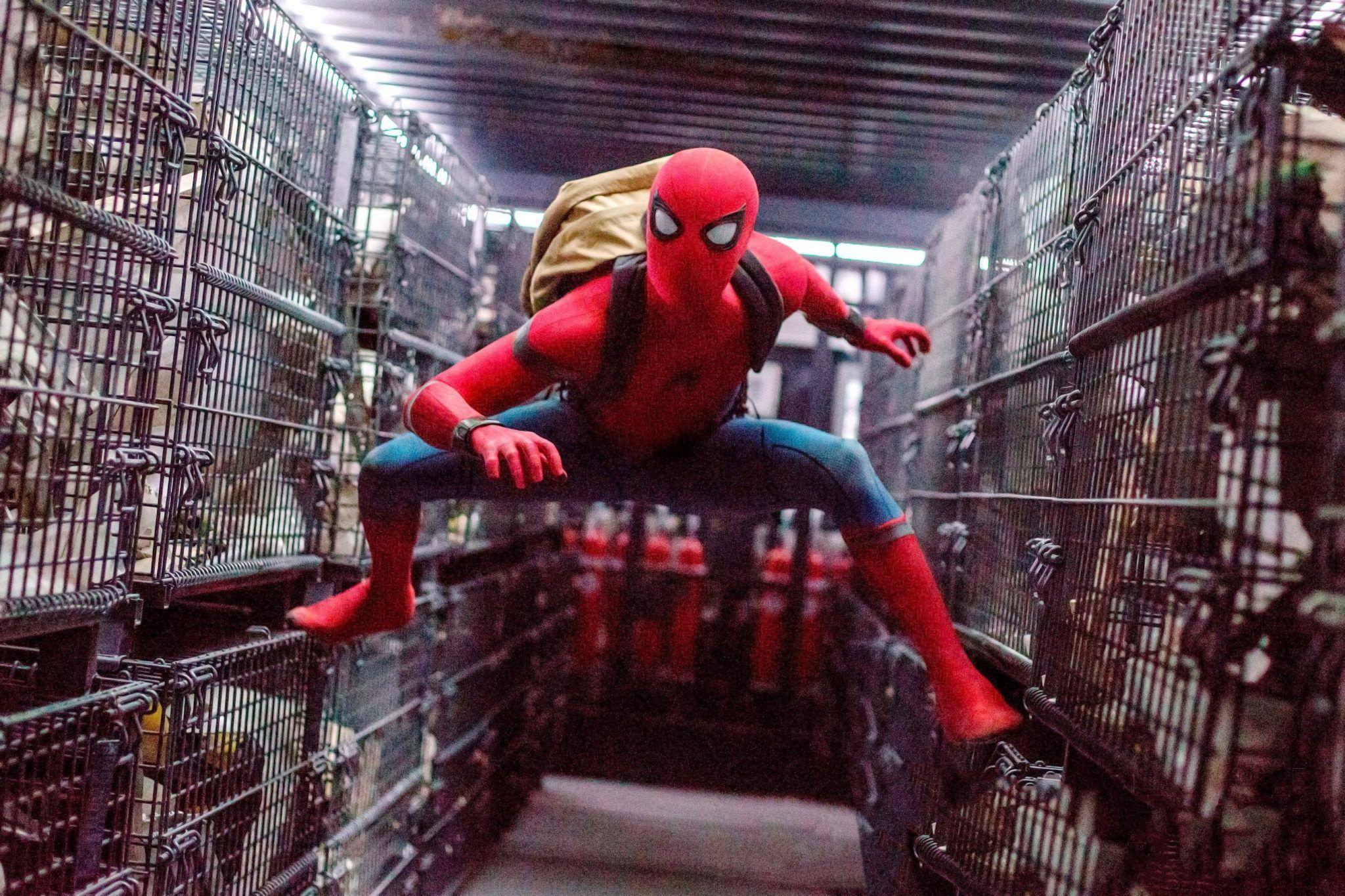 Spider Man Homecoming HD Wallpaper