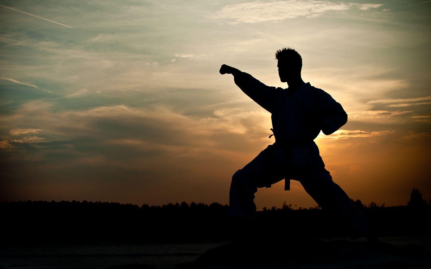 Karate Wallpaper, Top Beautiful Karate Picture, 771 4K Ultra HD