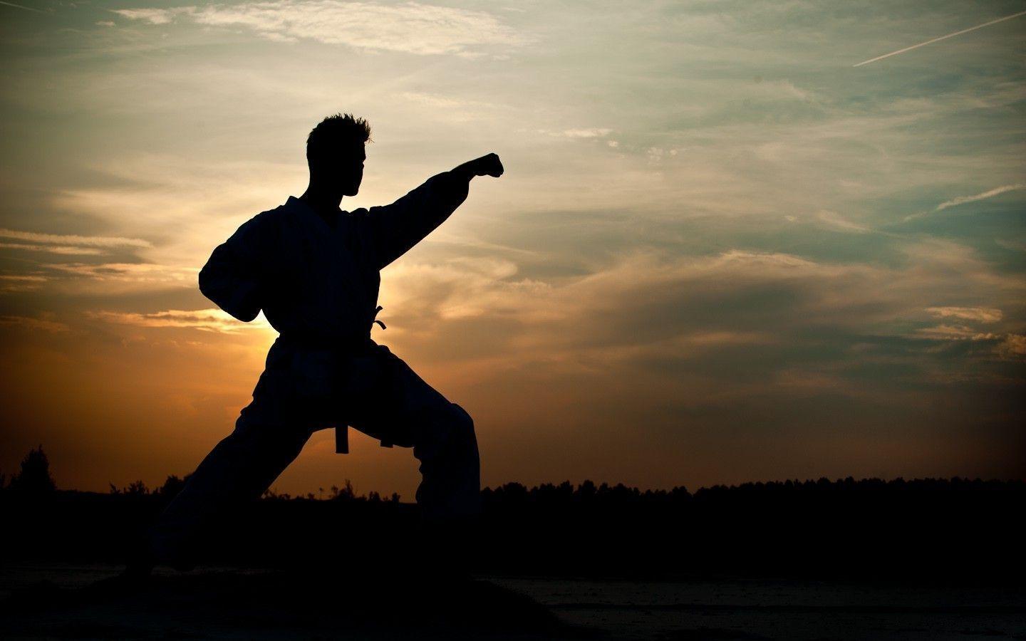 Martial Arts HD Wallpaper Desktop Image and Photo