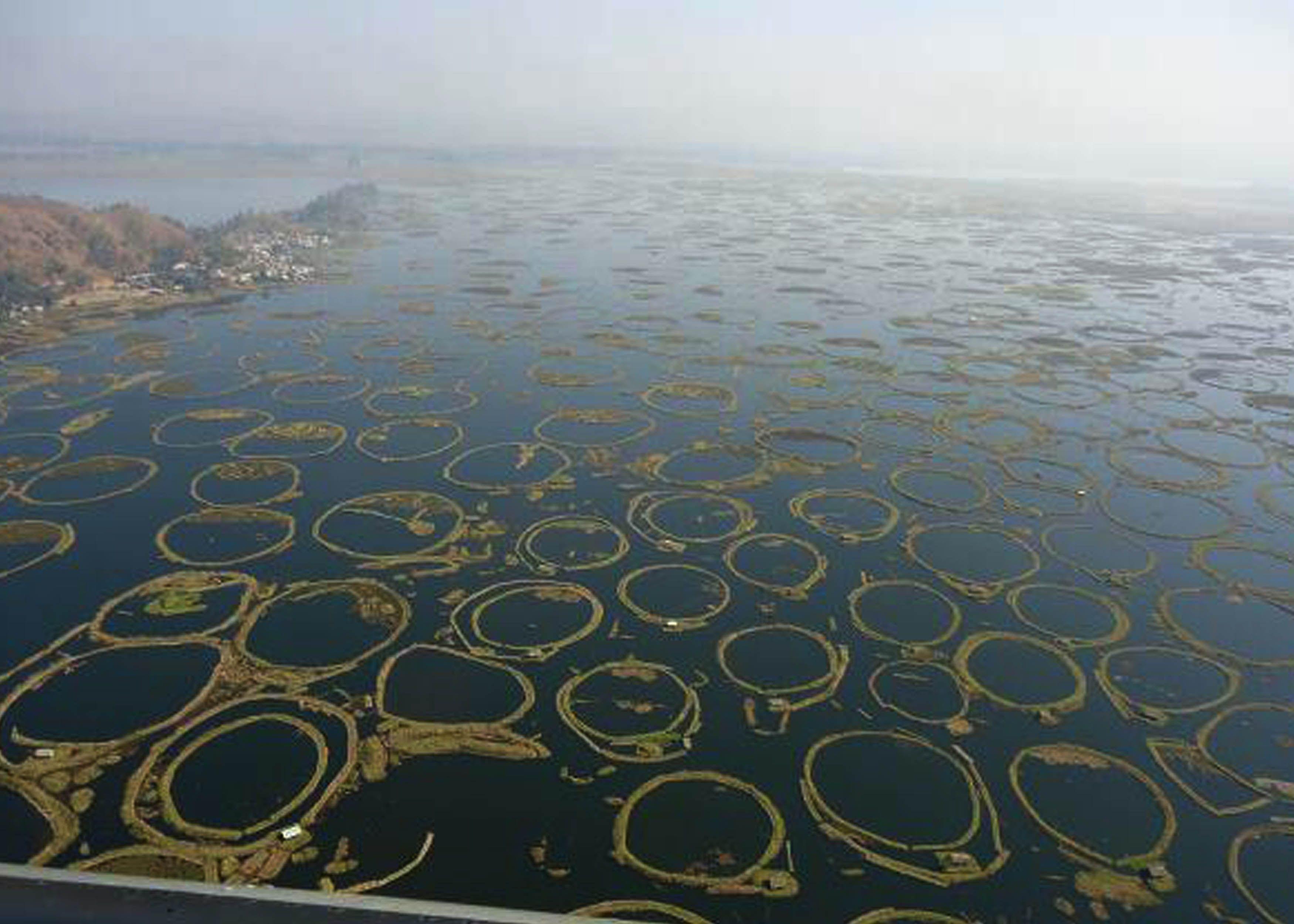 Loktak lake the only Floating lake in the world from Manipur state