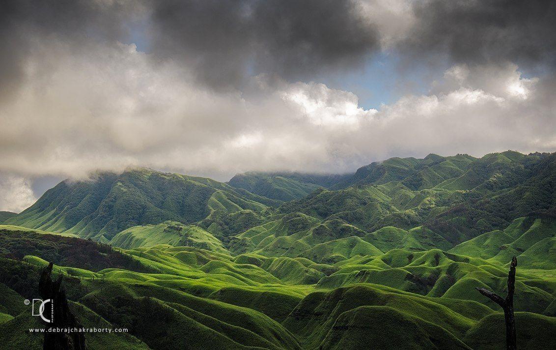 Dzukou Valley, Near Manipur Nagaland Border. Northeast India